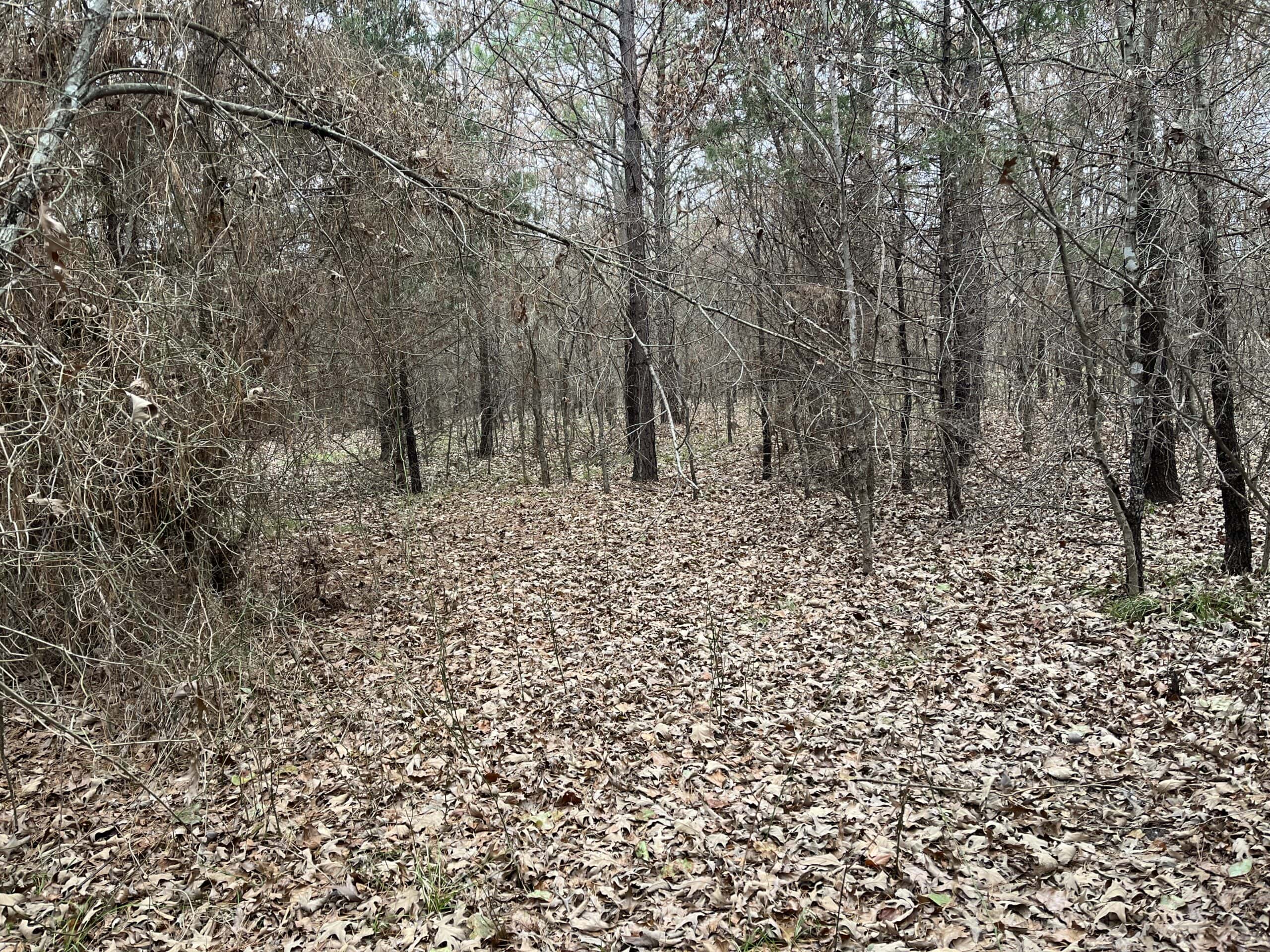 20-Acre Hunter’s Paradise in Southeastern Oklahoma-Prime location & Utilities Ready