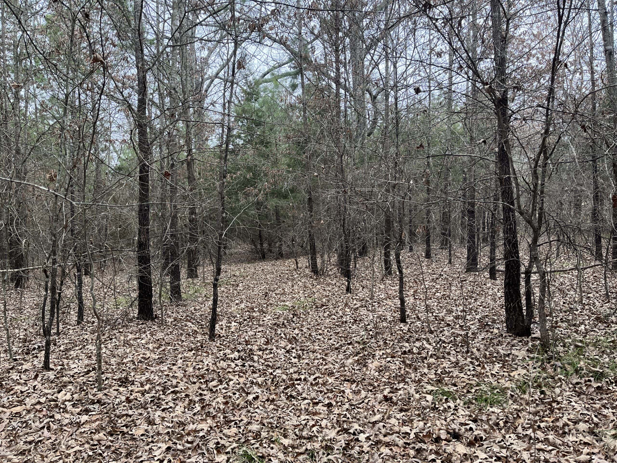 20-Acre Hunter’s Paradise in Southeastern Oklahoma-Prime location & Utilities Ready