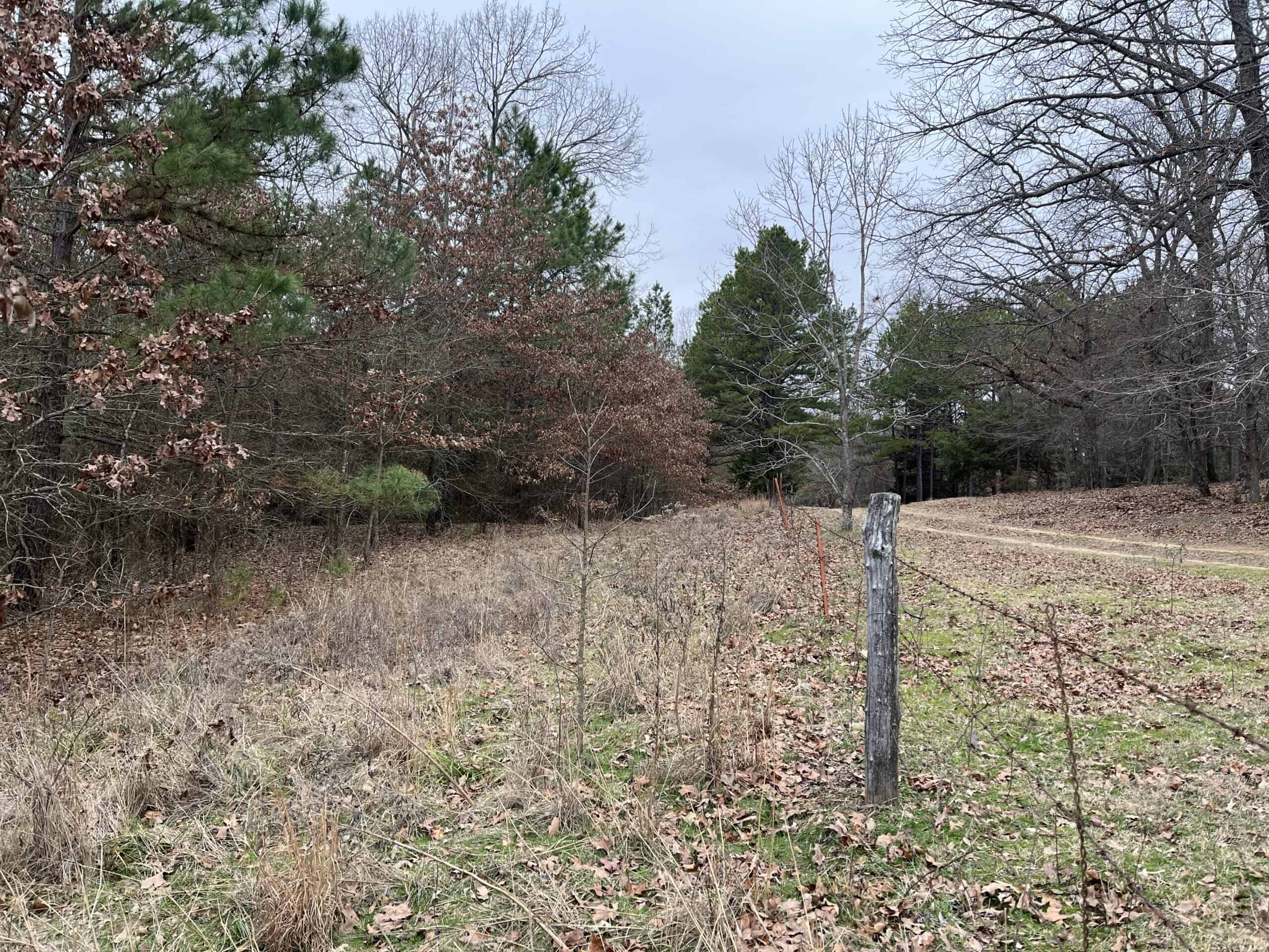 20-Acre Hunter’s Paradise in Southeastern Oklahoma-Prime location & Utilities Ready