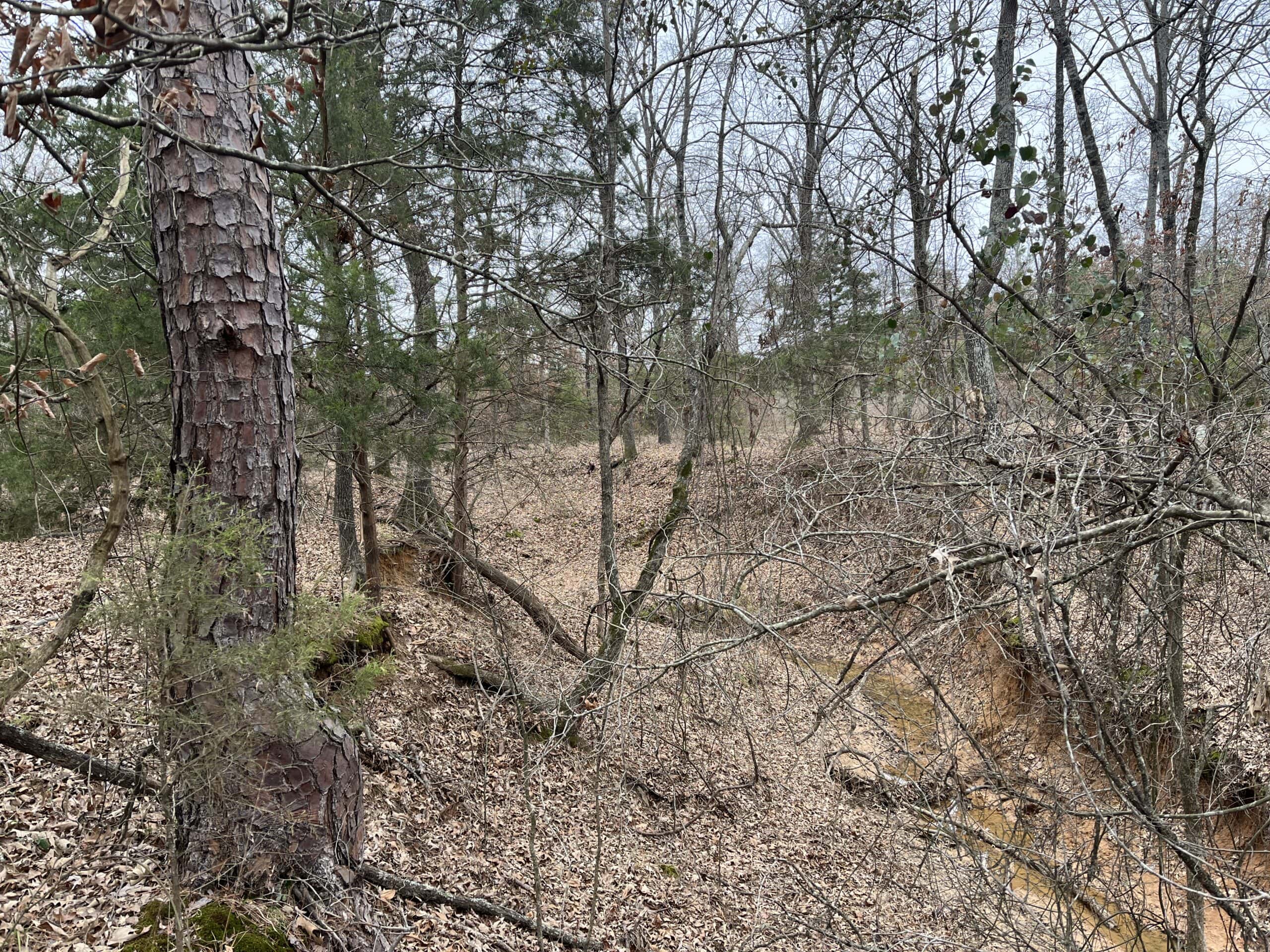 20-Acre Hunter’s Paradise in Southeastern Oklahoma-Prime location & Utilities Ready