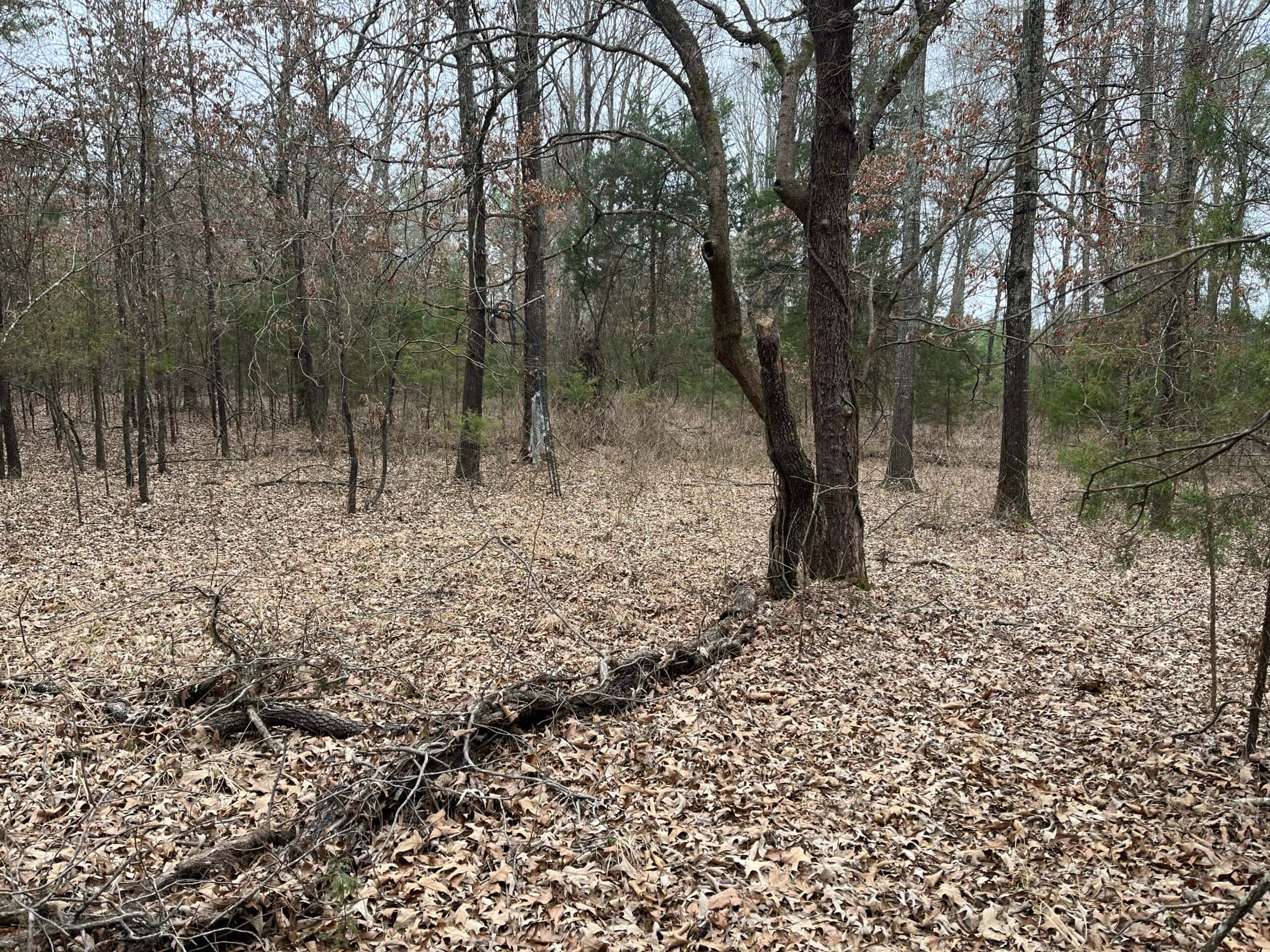 20-Acre Hunter’s Paradise in Southeastern Oklahoma-Prime location & Utilities Ready