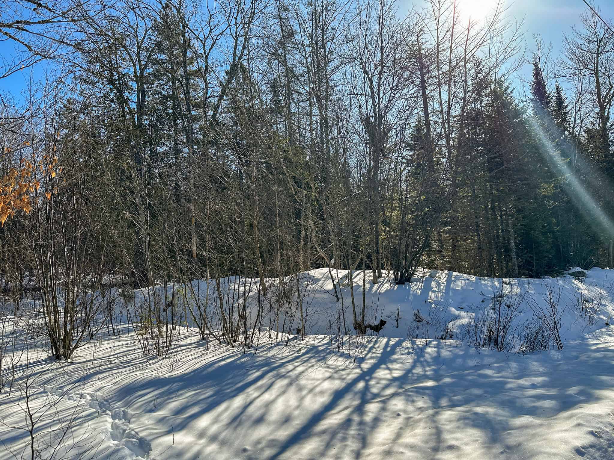 58 Acre Buildable Lot in Burlington, Maine