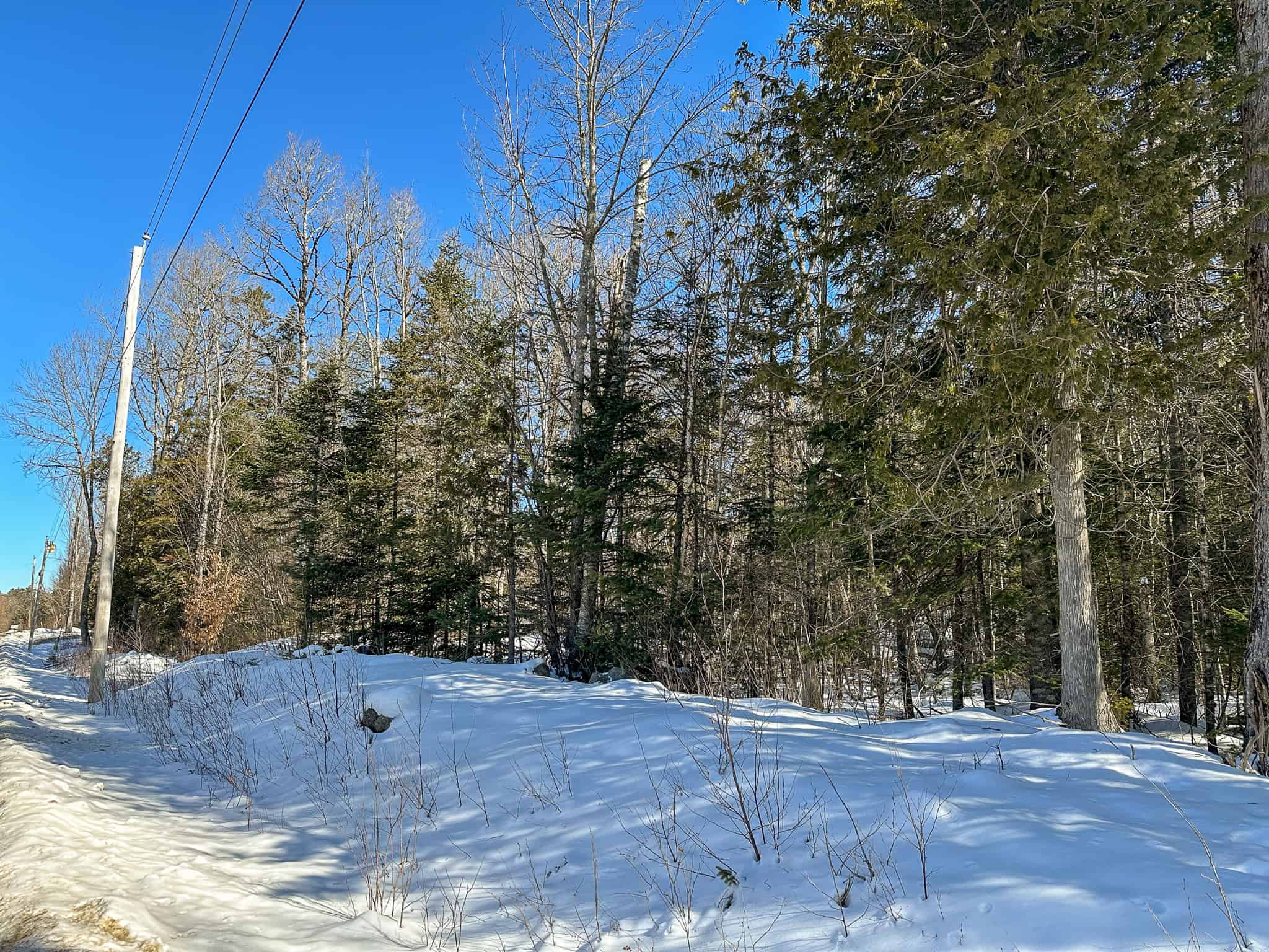 58 Acre Buildable Lot in Burlington, Maine