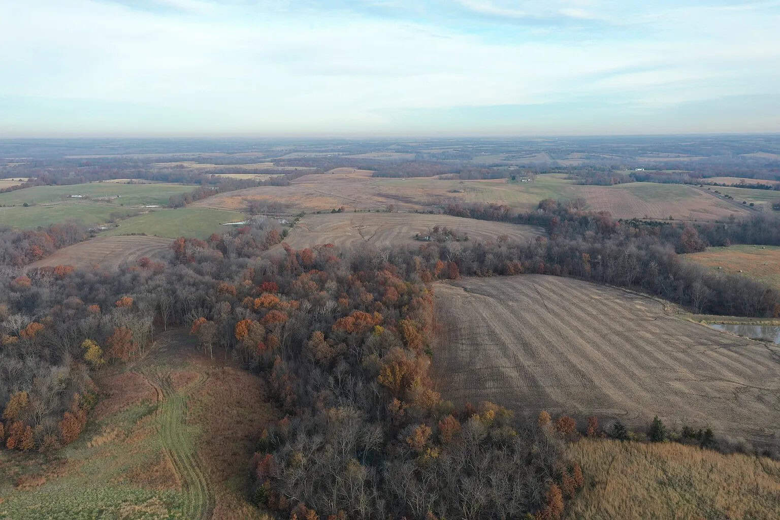 Farm Ground with 69 acres m/l