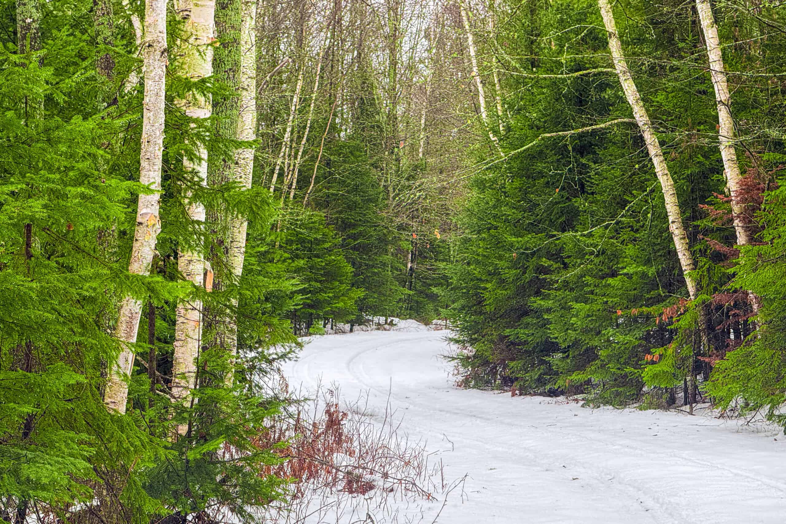 Rare Opportunity to Own 160+/- Acres Featuring a 20+/- Acre Lake