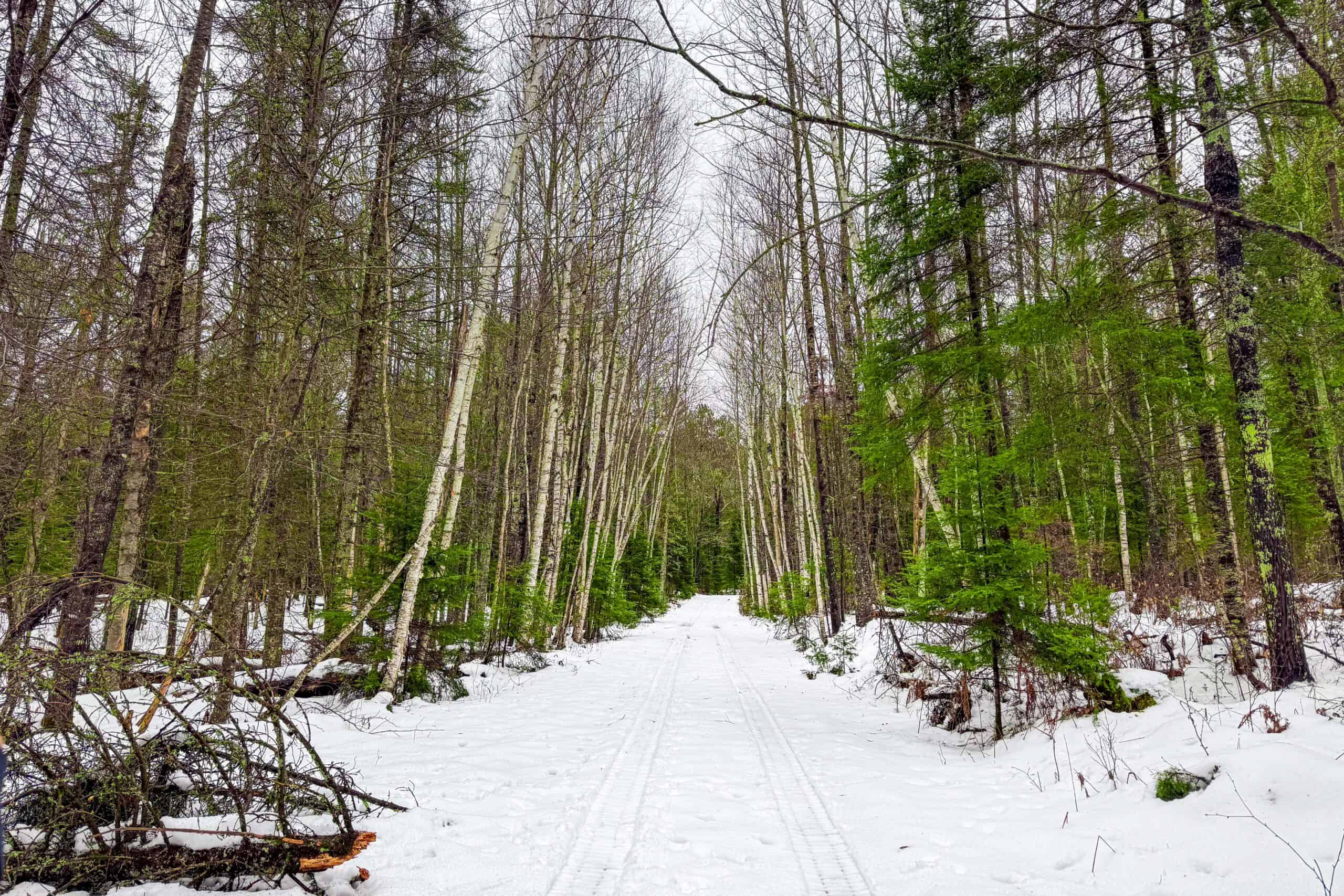 Rare Opportunity to Own 160+/- Acres Featuring a 20+/- Acre Lake