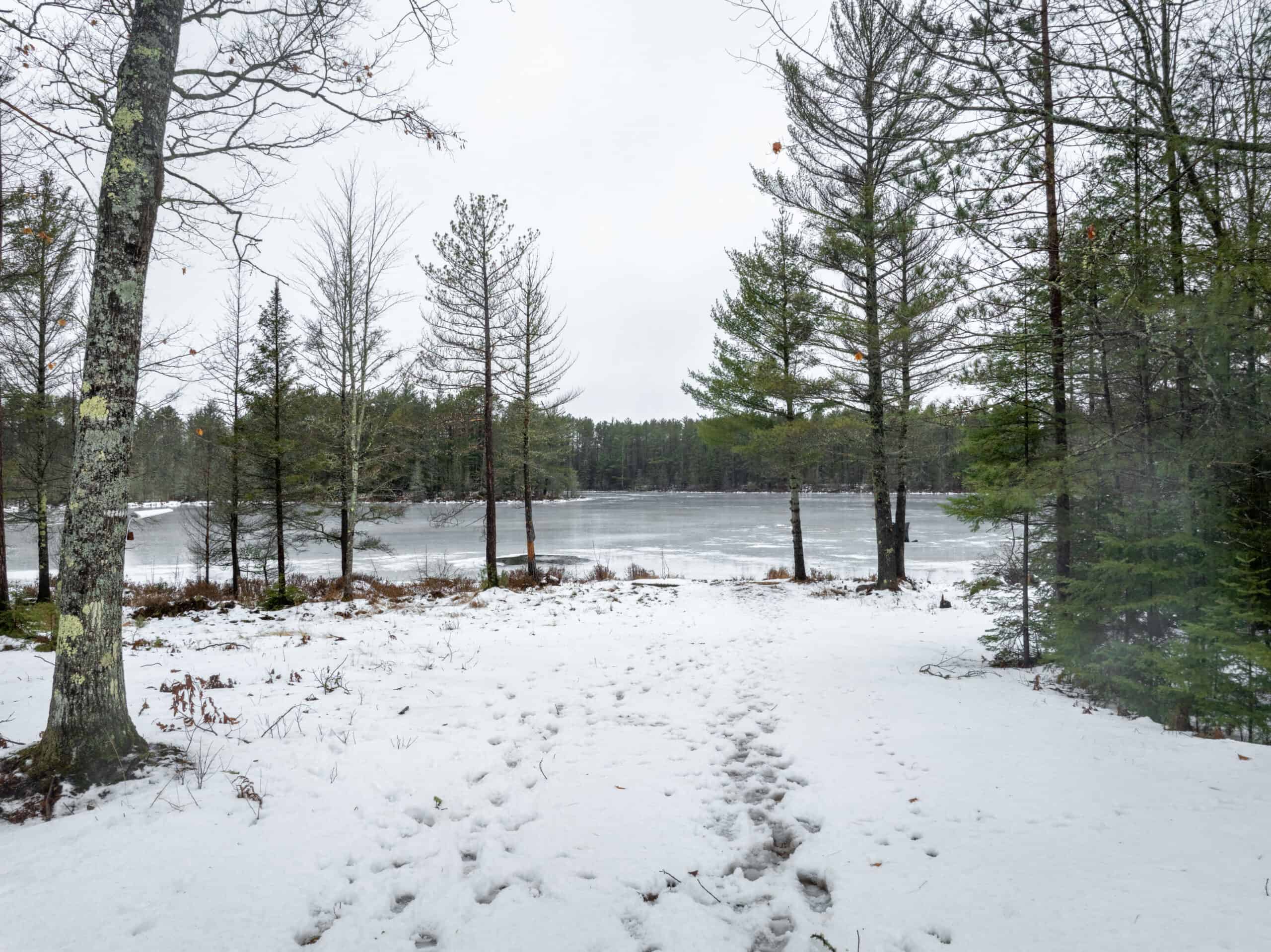 Rare Opportunity to Own 160+/- Acres Featuring a 20+/- Acre Lake