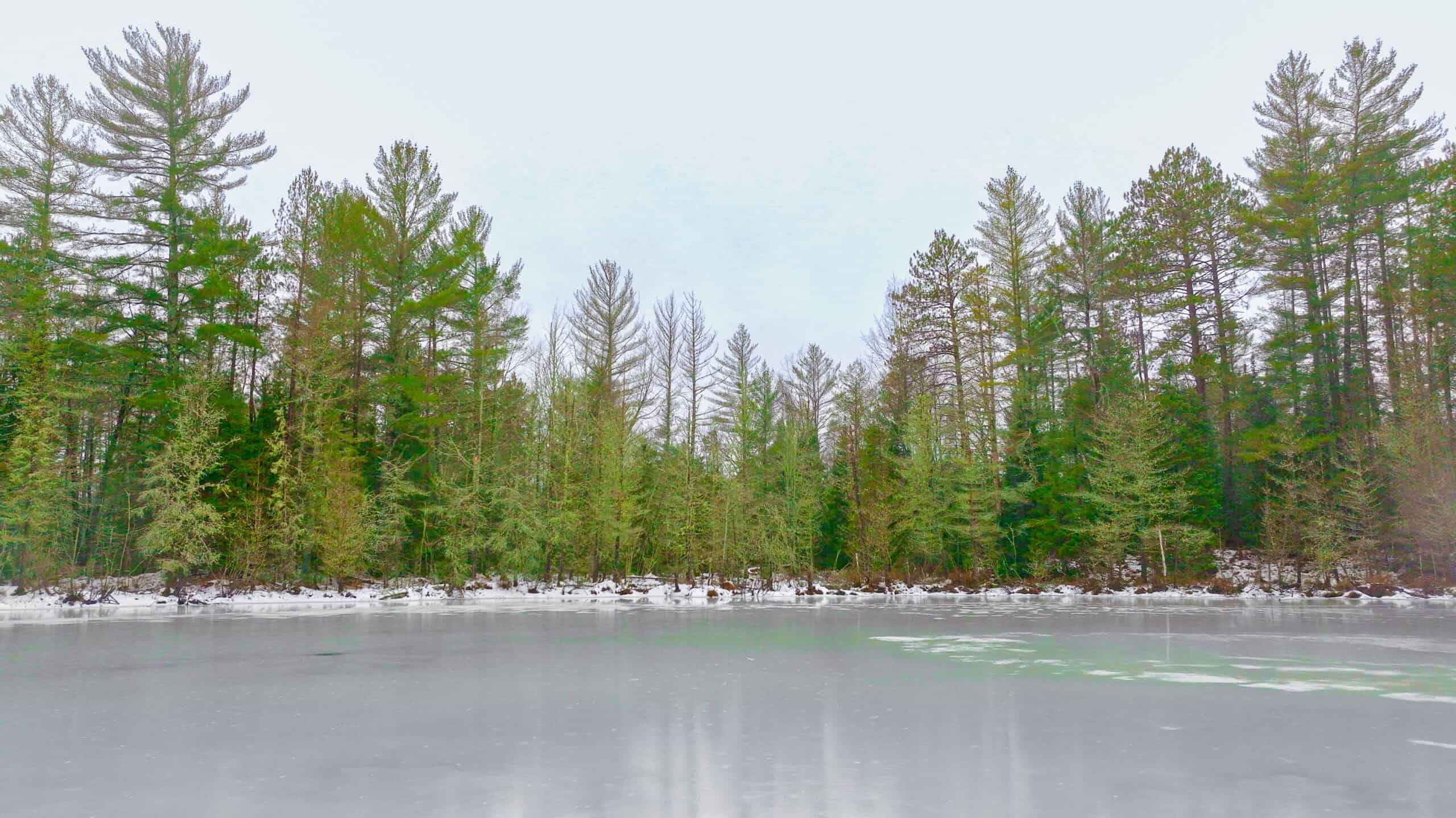 Rare Opportunity to Own 160+/- Acres Featuring a 20+/- Acre Lake