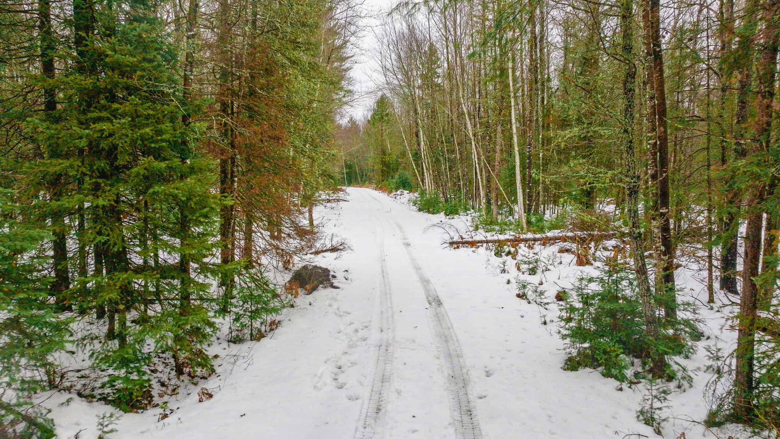 Rare Opportunity to Own 160+/- Acres Featuring a 20+/- Acre Lake
