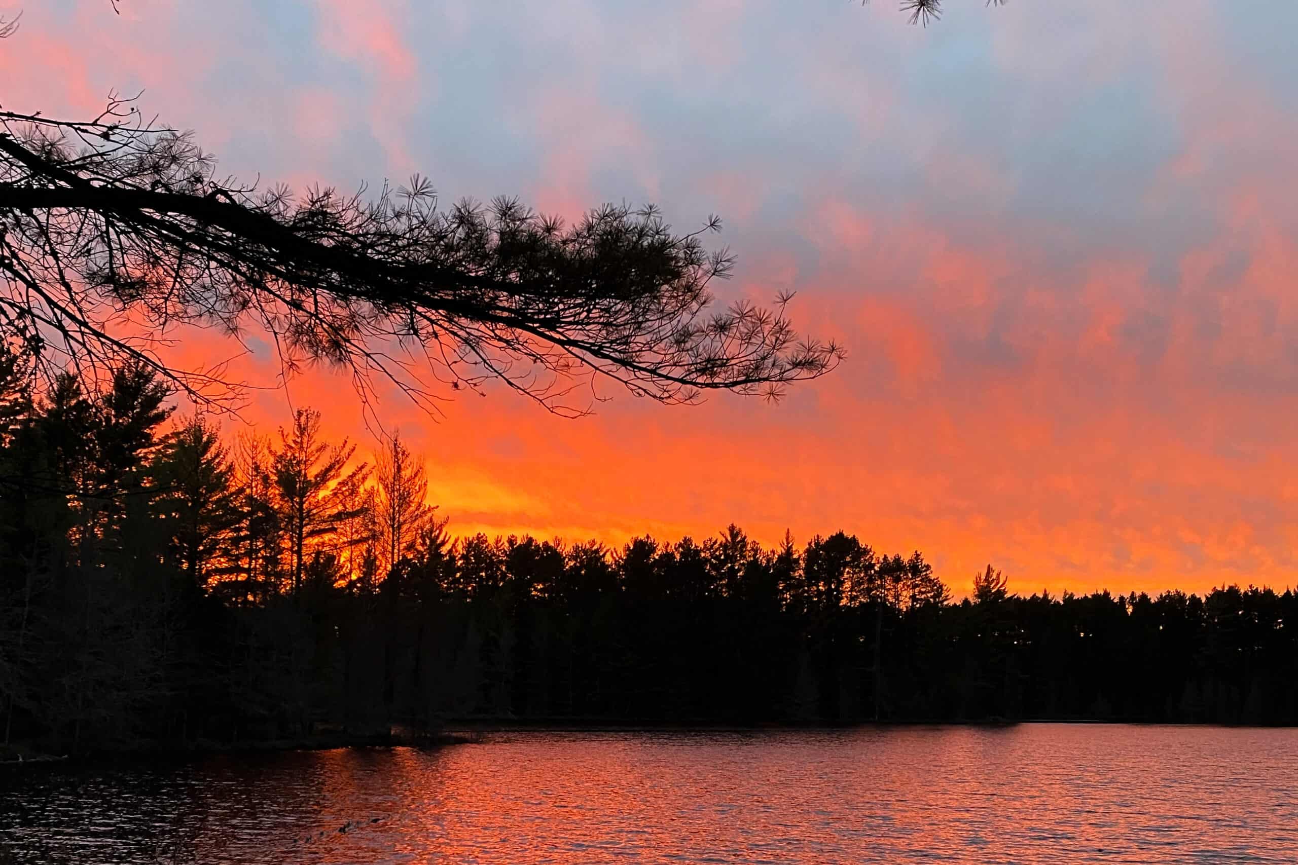 Rare Opportunity to Own 160+/- Acres Featuring a 20+/- Acre Lake
