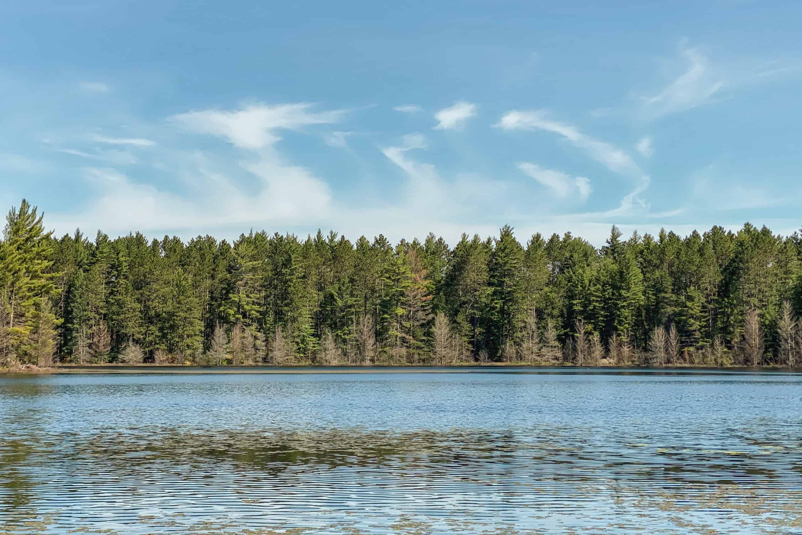 Rare Opportunity to Own 160+/- Acres Featuring a 20+/- Acre Lake