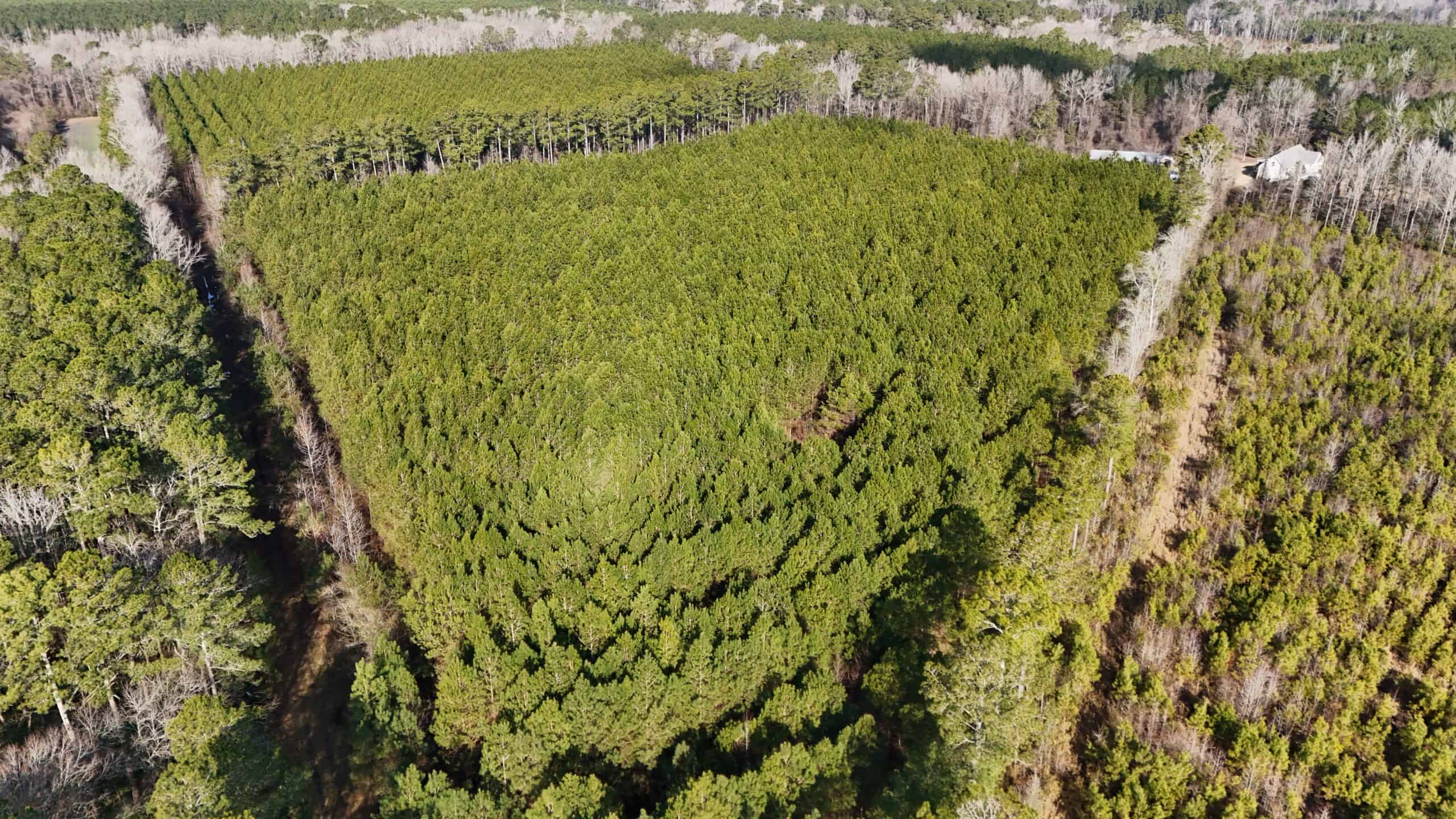 62-Acre Hunting & Investment Property – A Sportsman’s Dream!