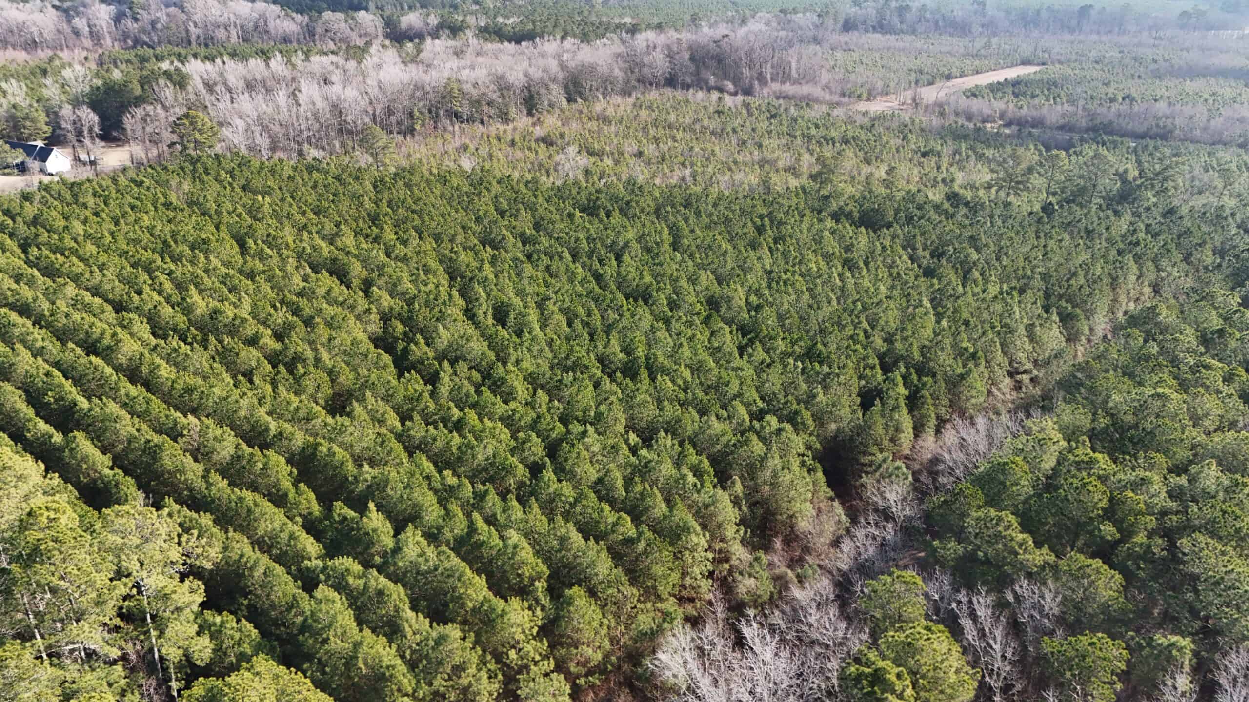 62-Acre Hunting & Investment Property – A Sportsman’s Dream!