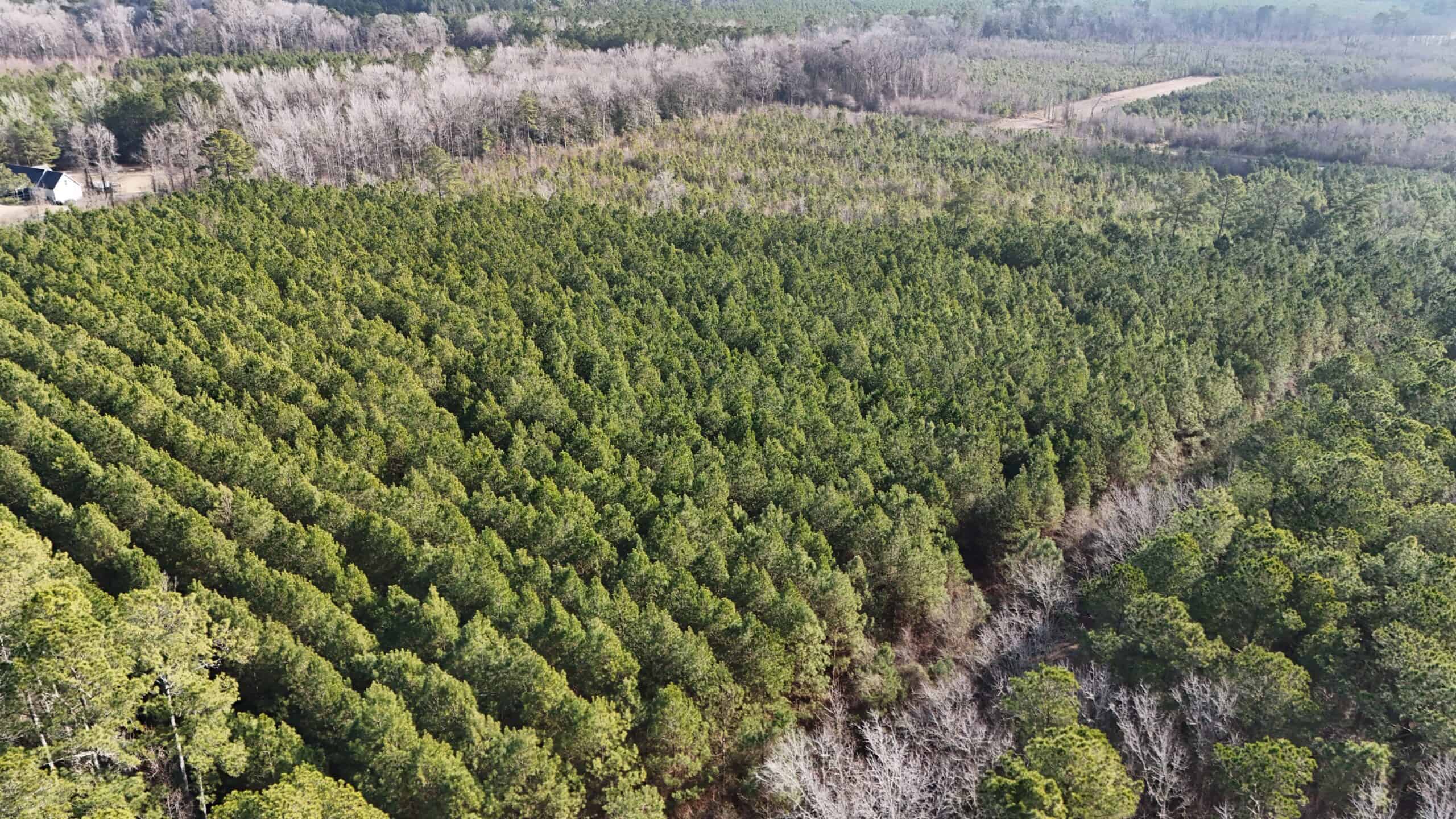 62-Acre Hunting & Investment Property – A Sportsman’s Dream!
