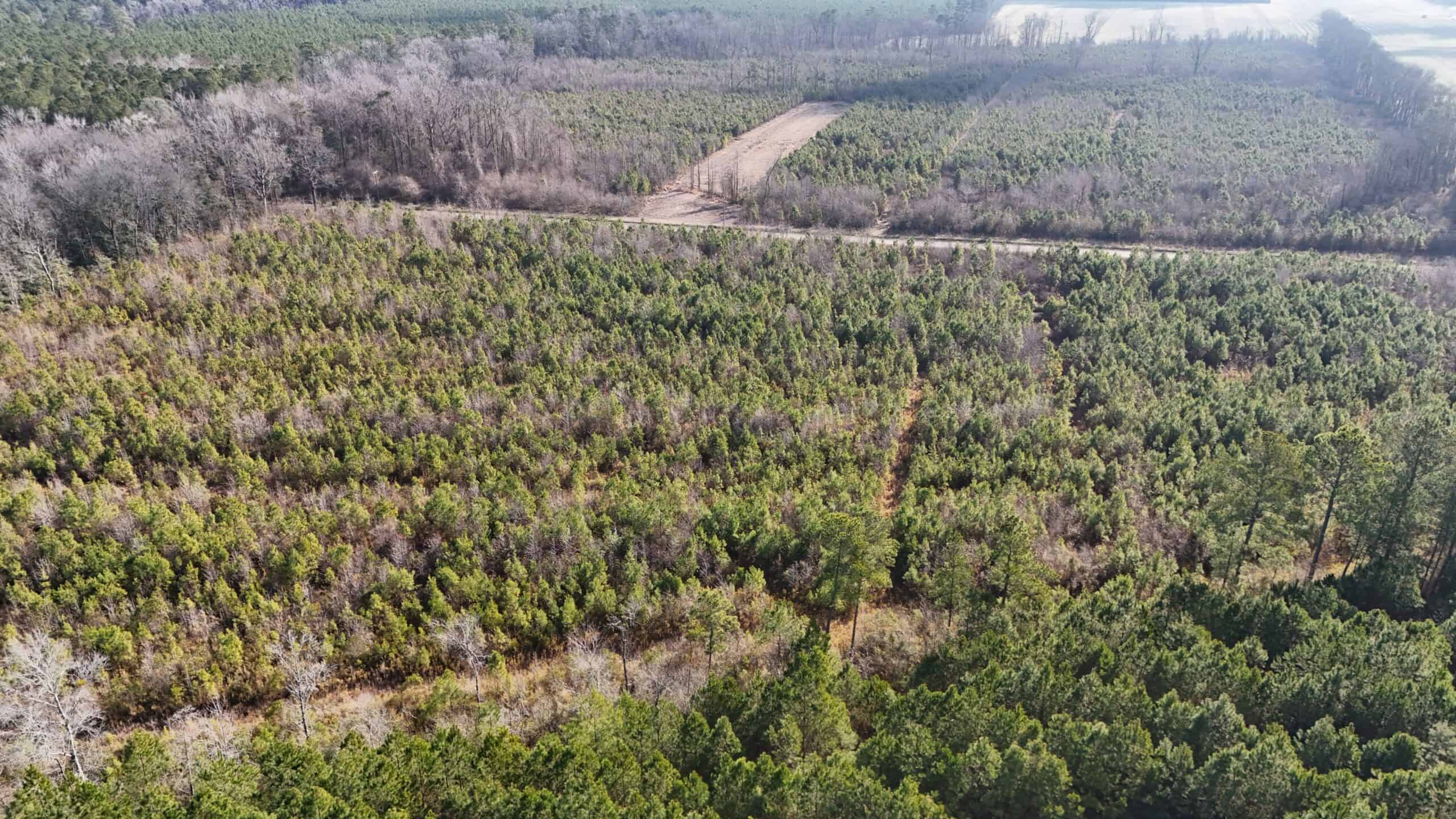 62-Acre Hunting & Investment Property – A Sportsman’s Dream!