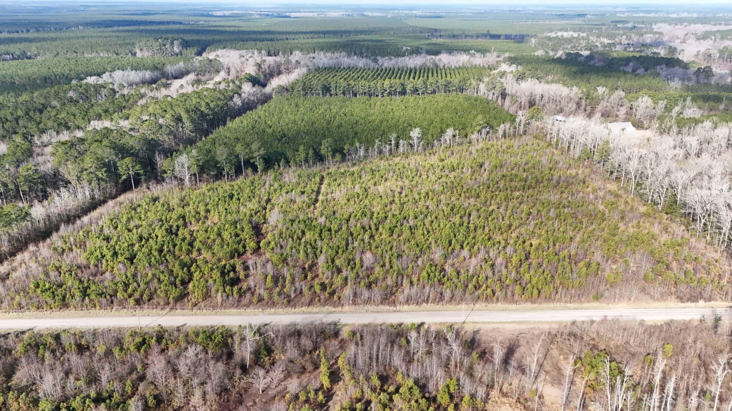 62-Acre Hunting & Investment Property – A Sportsman’s Dream!