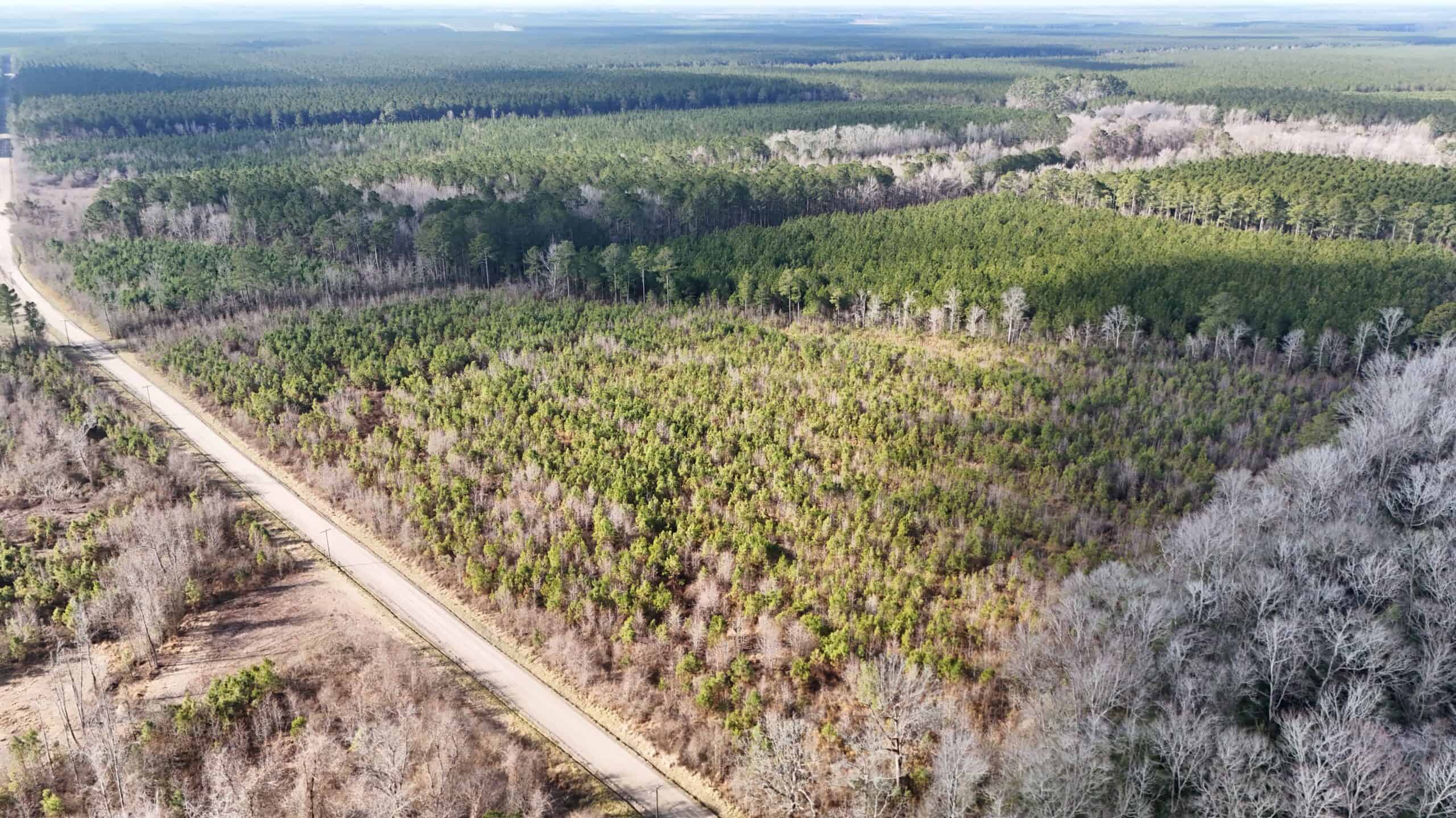 62-Acre Hunting & Investment Property – A Sportsman’s Dream!