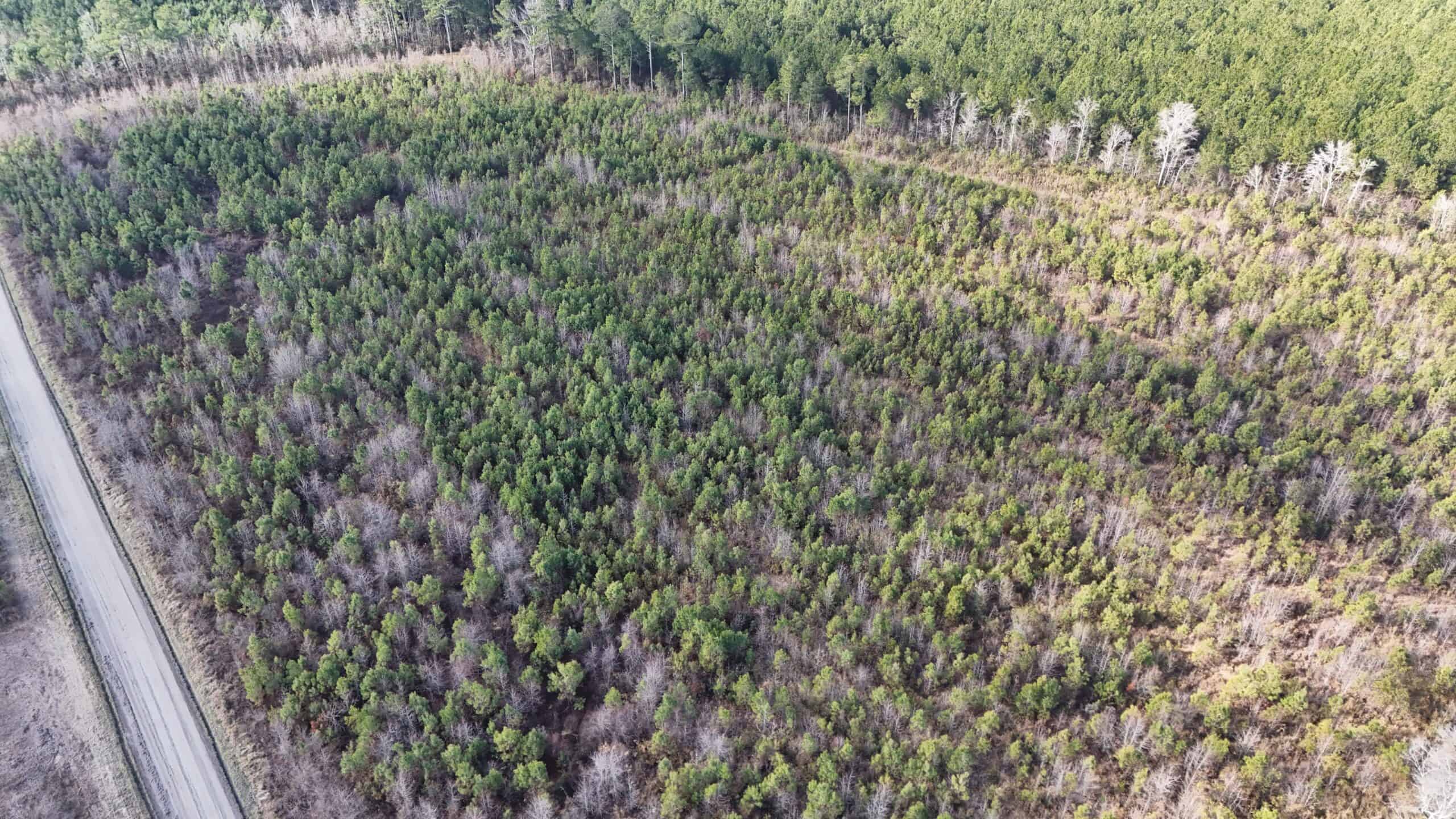 62-Acre Hunting & Investment Property – A Sportsman’s Dream!