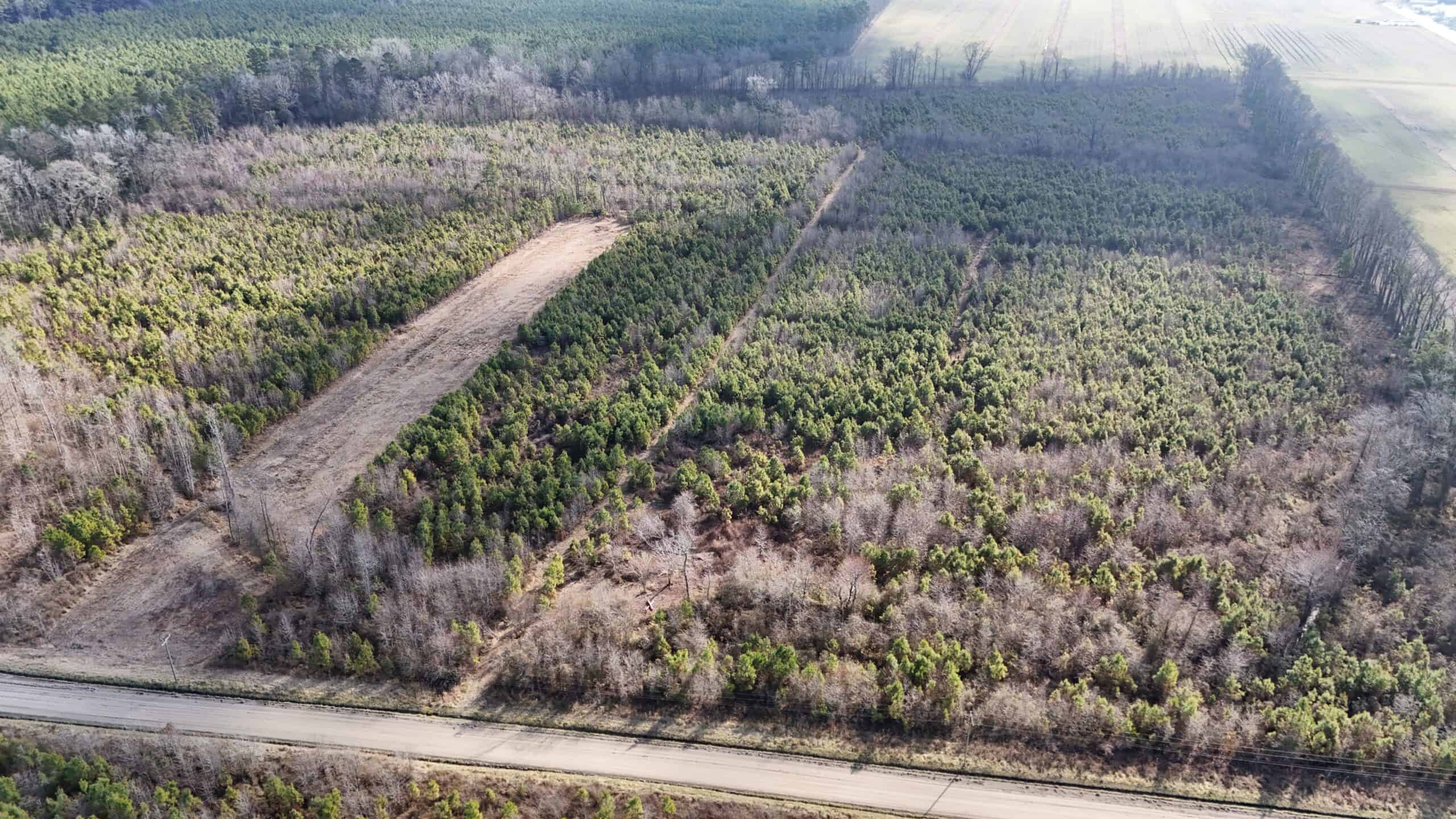 62-Acre Hunting & Investment Property – A Sportsman’s Dream!