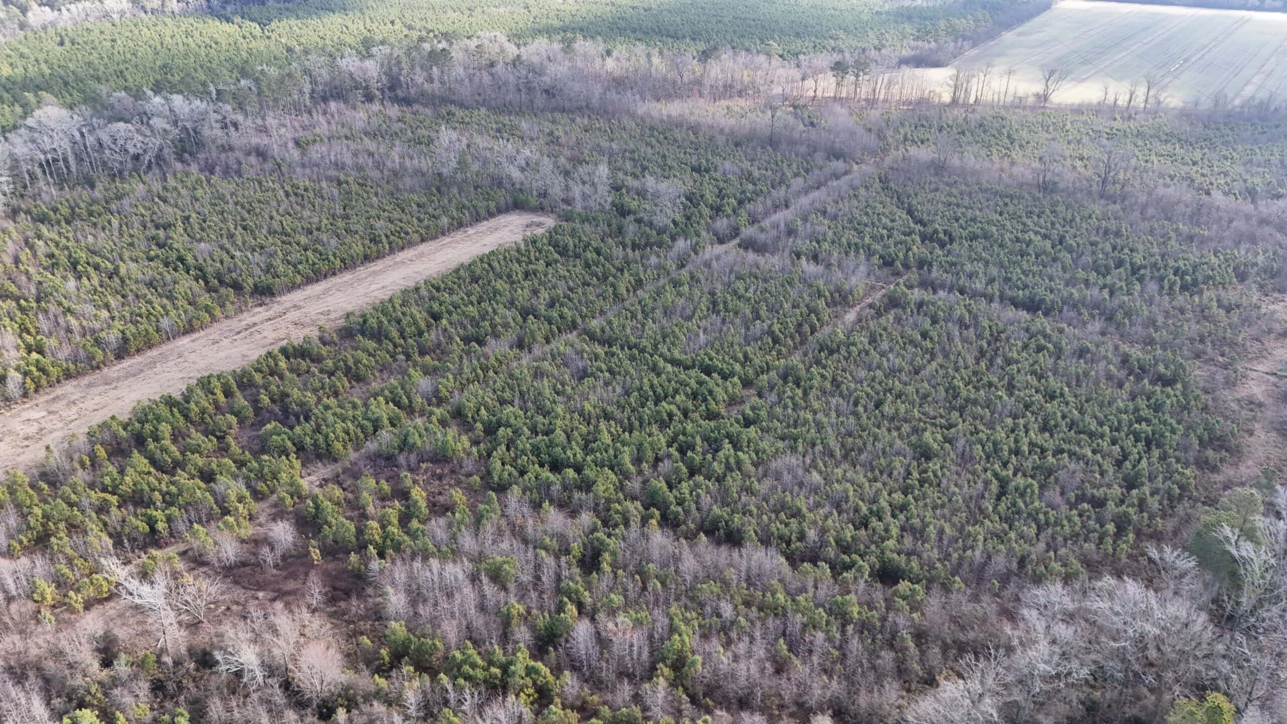62-Acre Hunting & Investment Property – A Sportsman’s Dream!