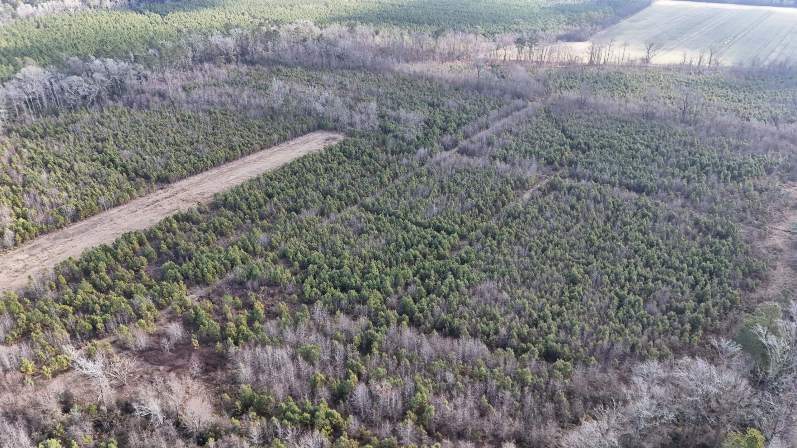 62-Acre Hunting & Investment Property – A Sportsman’s Dream!