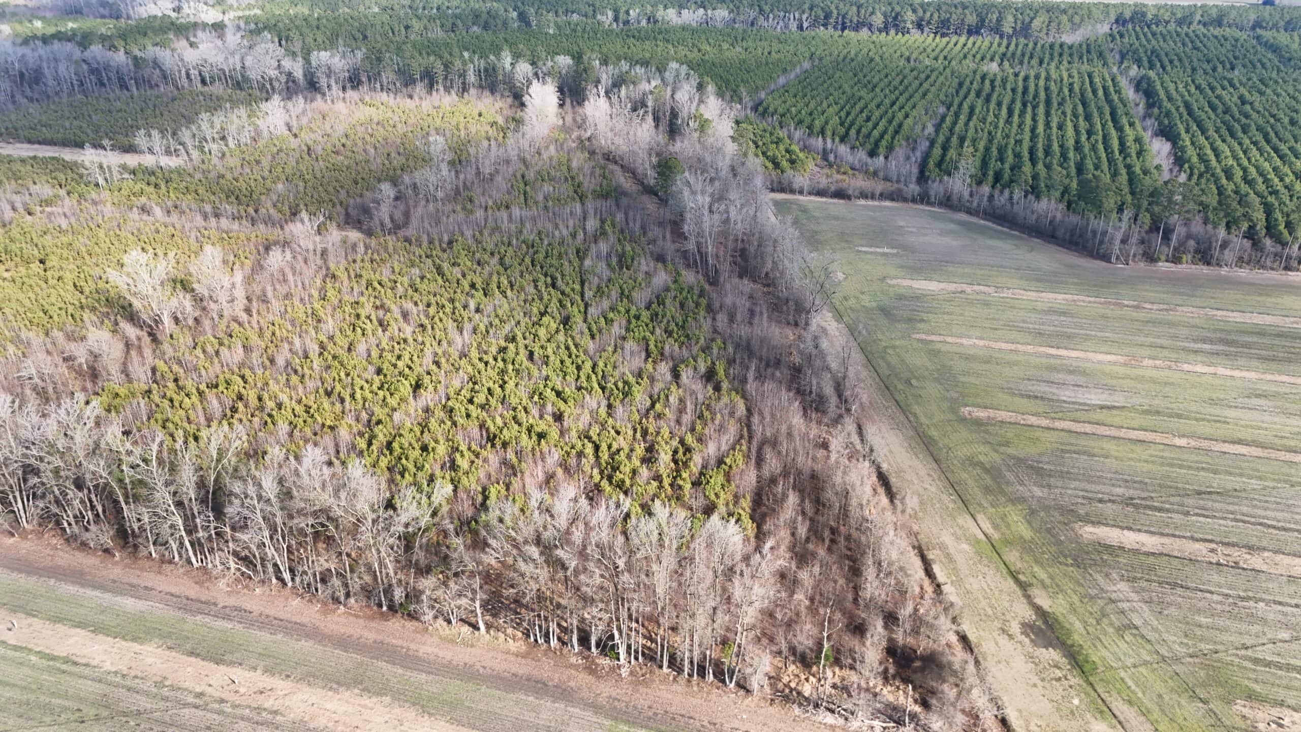 62-Acre Hunting & Investment Property – A Sportsman’s Dream!
