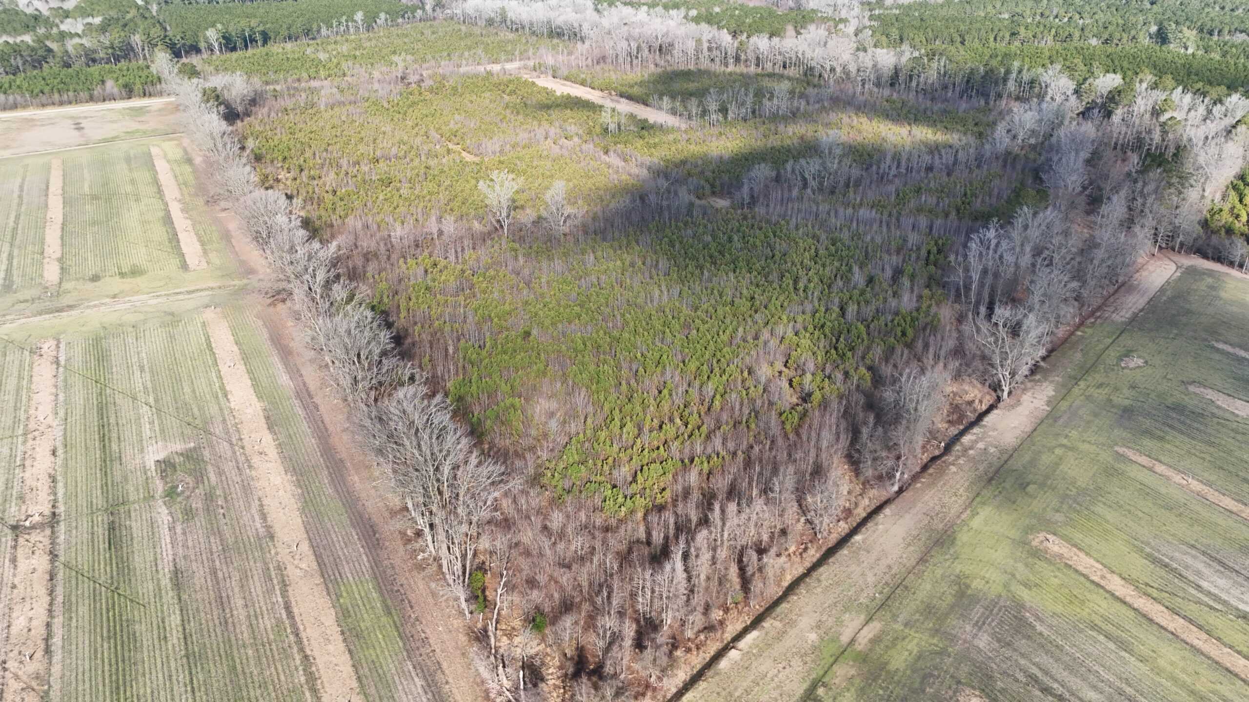 62-Acre Hunting & Investment Property – A Sportsman’s Dream!