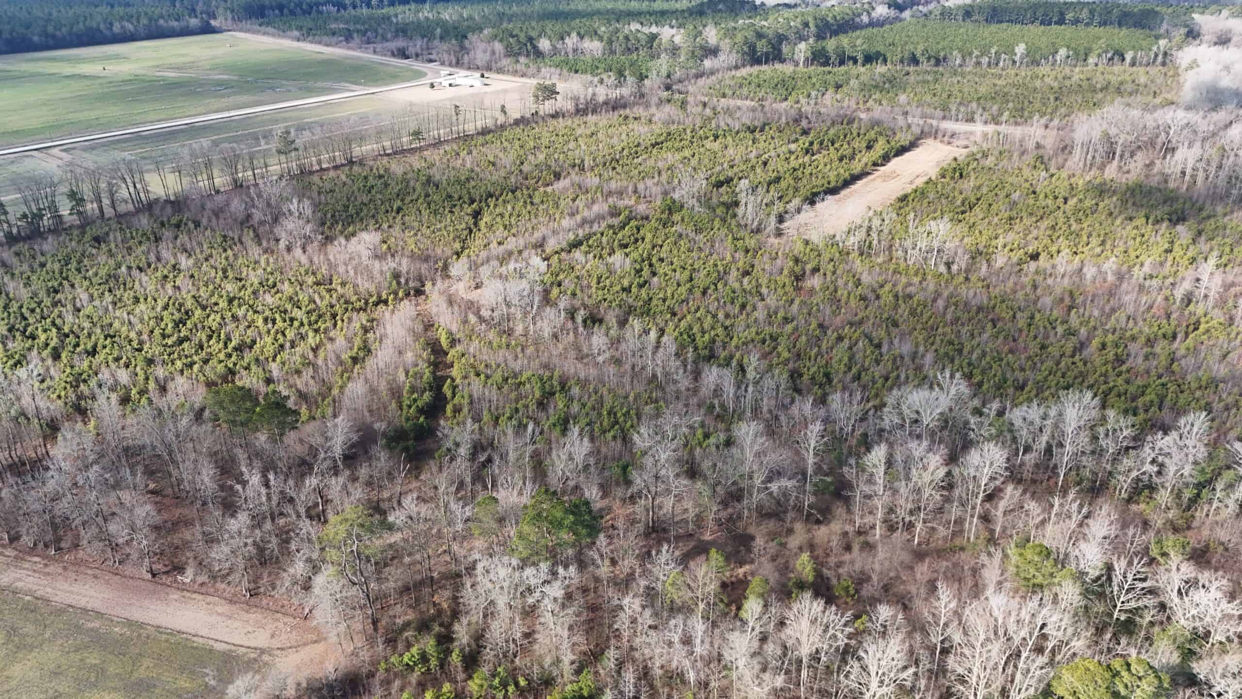 62-Acre Hunting & Investment Property – A Sportsman’s Dream!