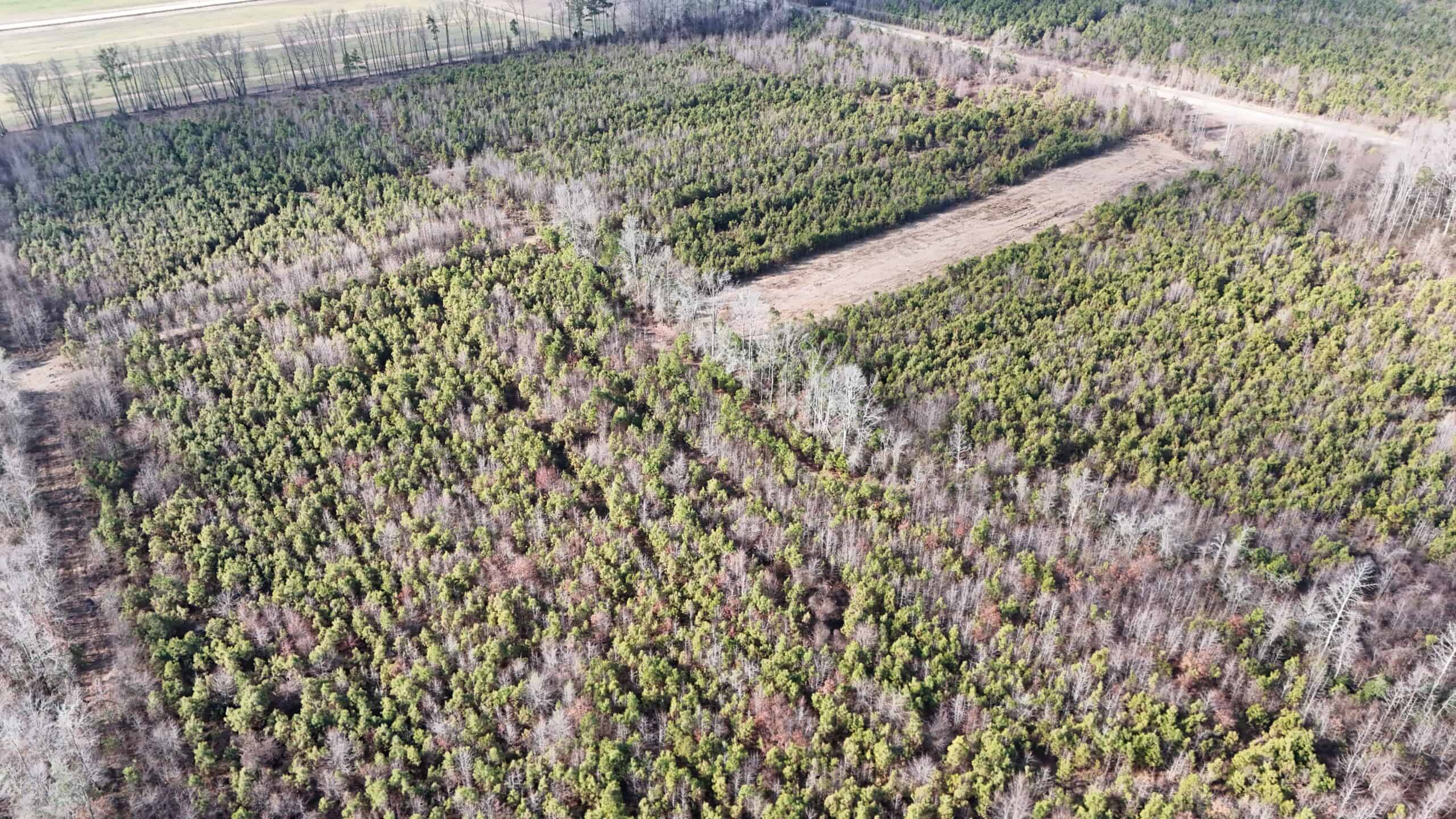 62-Acre Hunting & Investment Property – A Sportsman’s Dream!