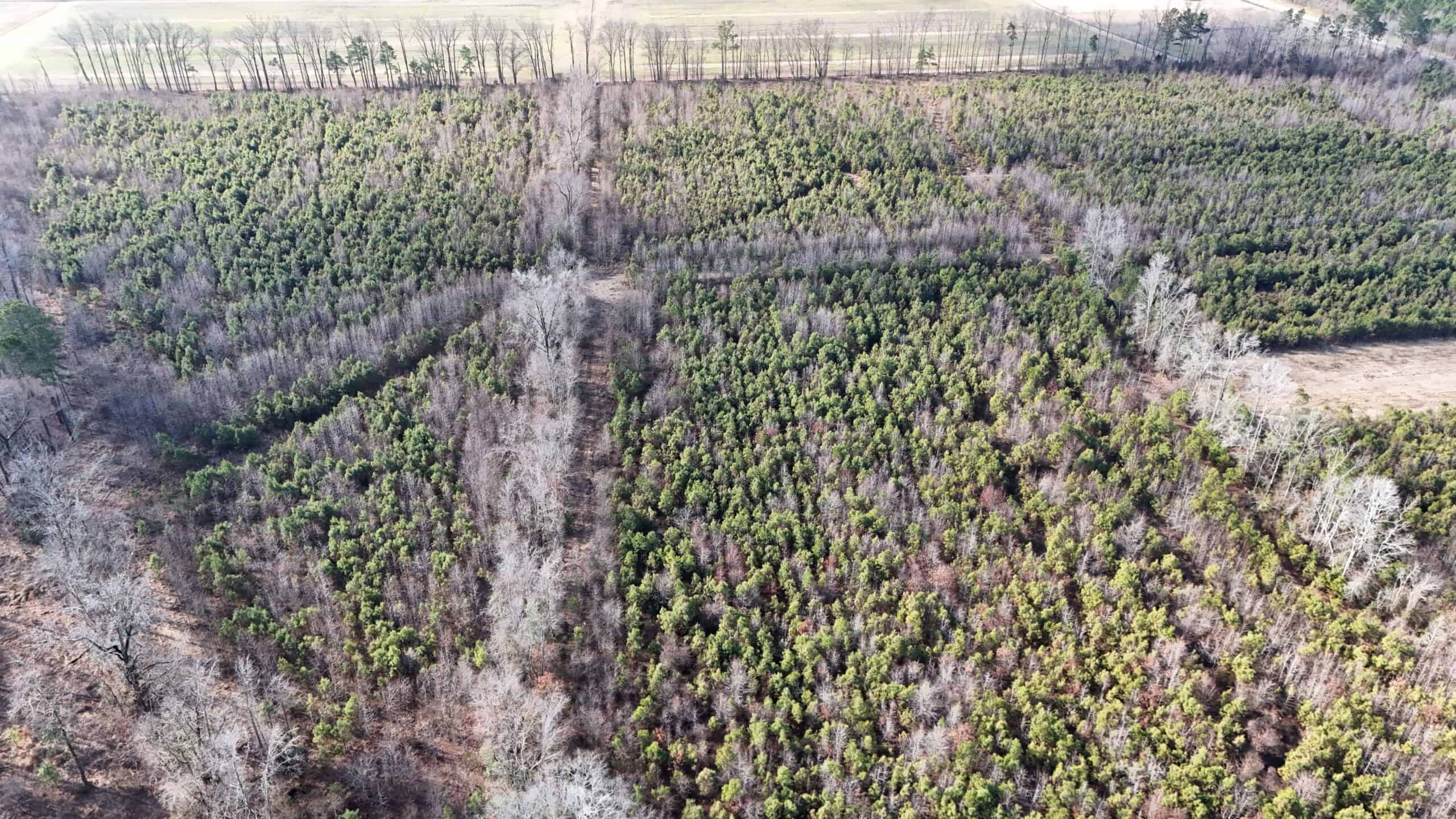 62-Acre Hunting & Investment Property – A Sportsman’s Dream!
