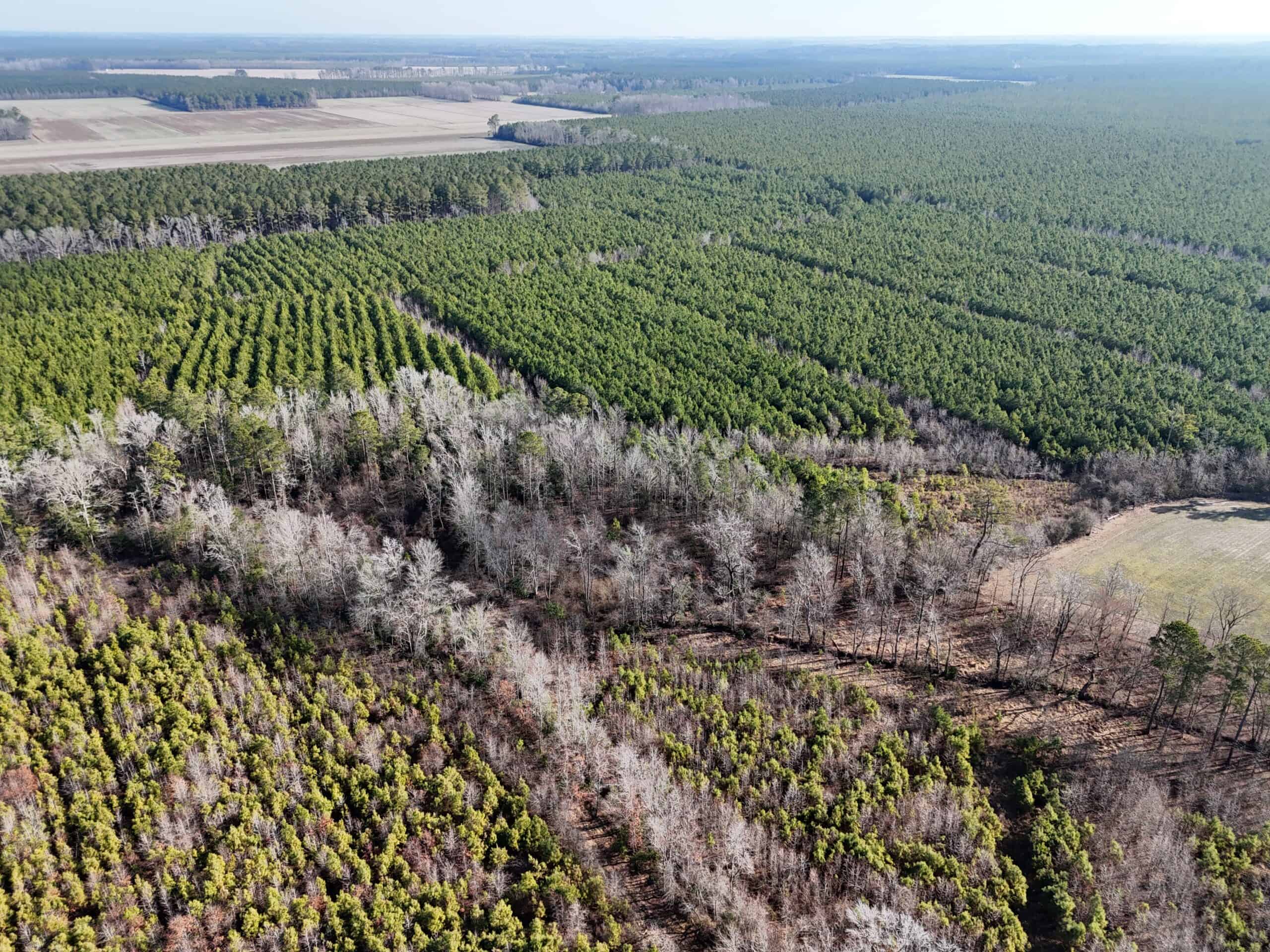 62-Acre Hunting & Investment Property – A Sportsman’s Dream!