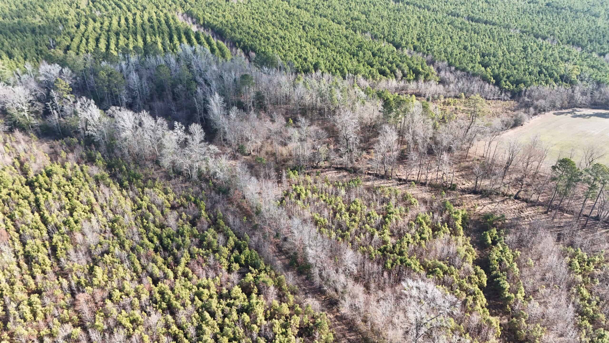 62-Acre Hunting & Investment Property – A Sportsman’s Dream!