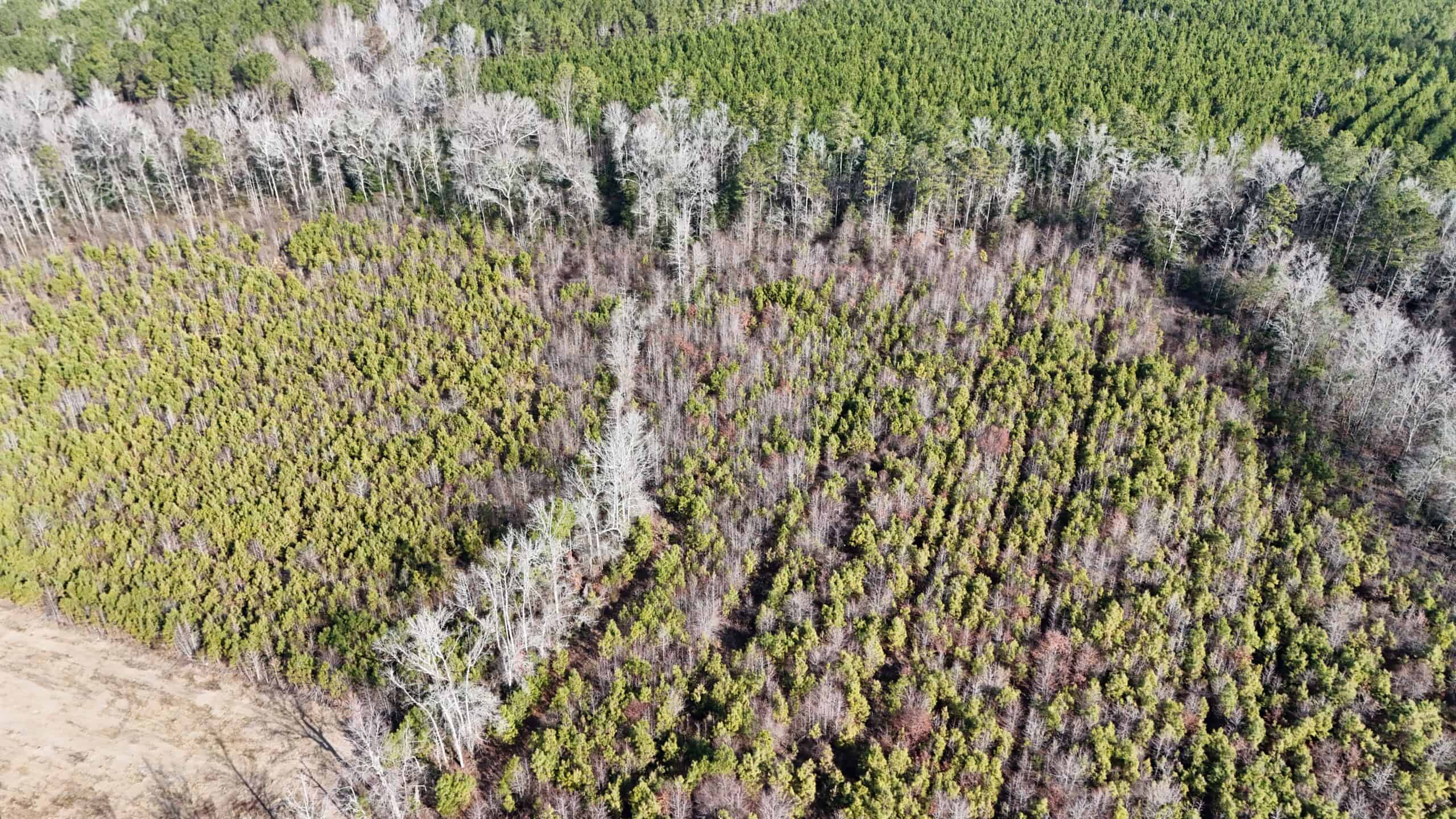 62-Acre Hunting & Investment Property – A Sportsman’s Dream!