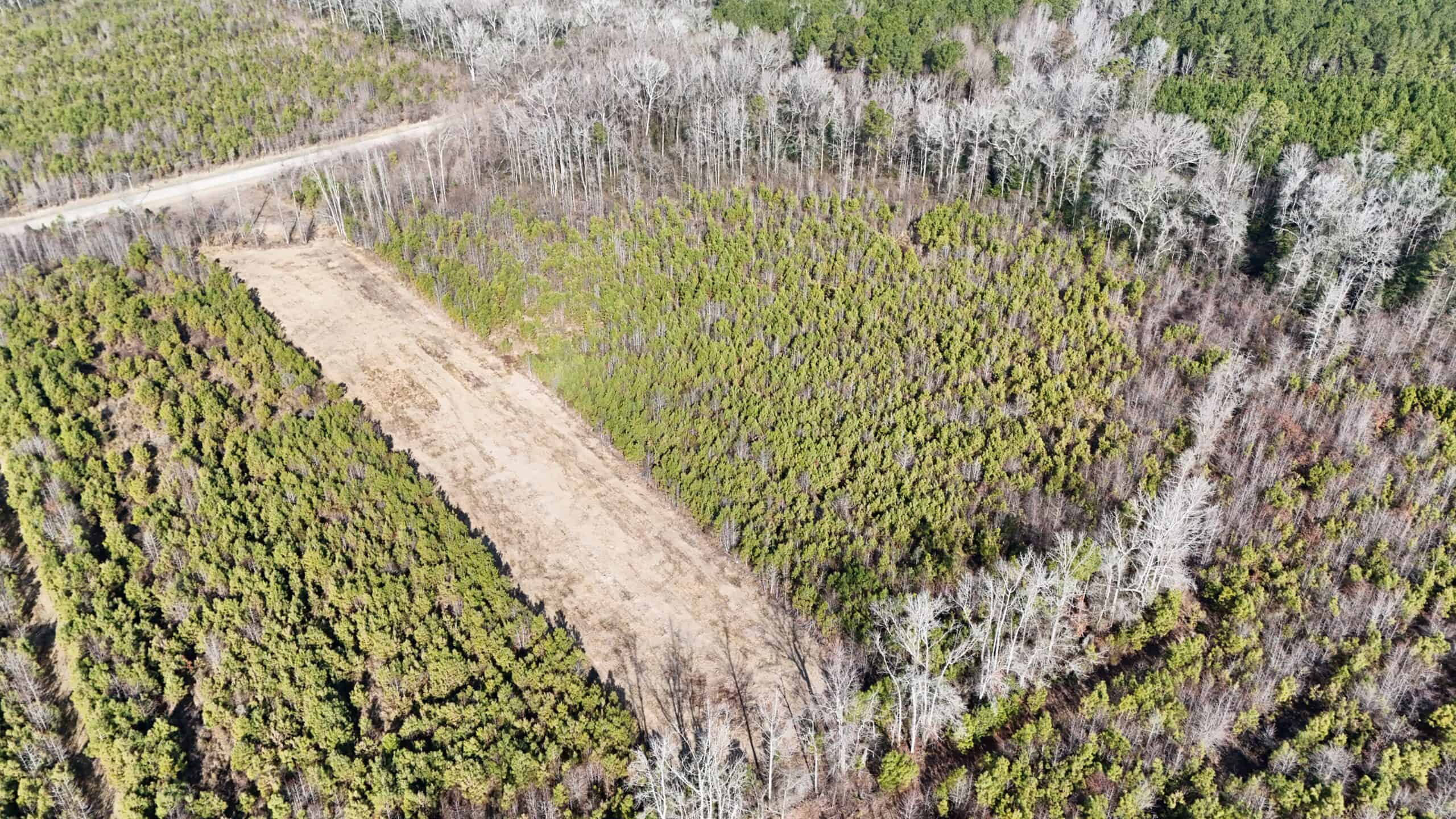 62-Acre Hunting & Investment Property – A Sportsman’s Dream!