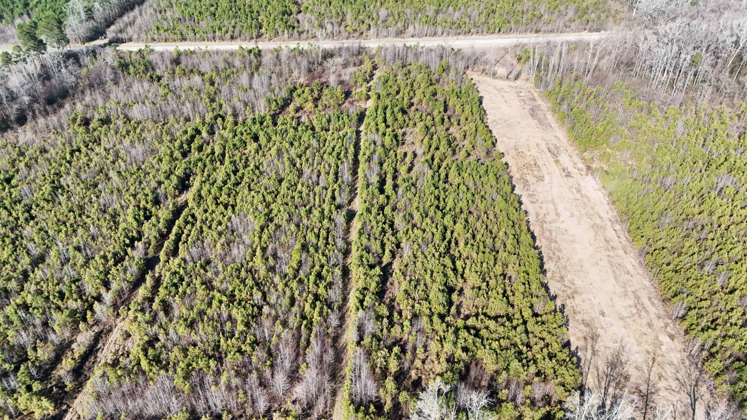 62-Acre Hunting & Investment Property – A Sportsman’s Dream!