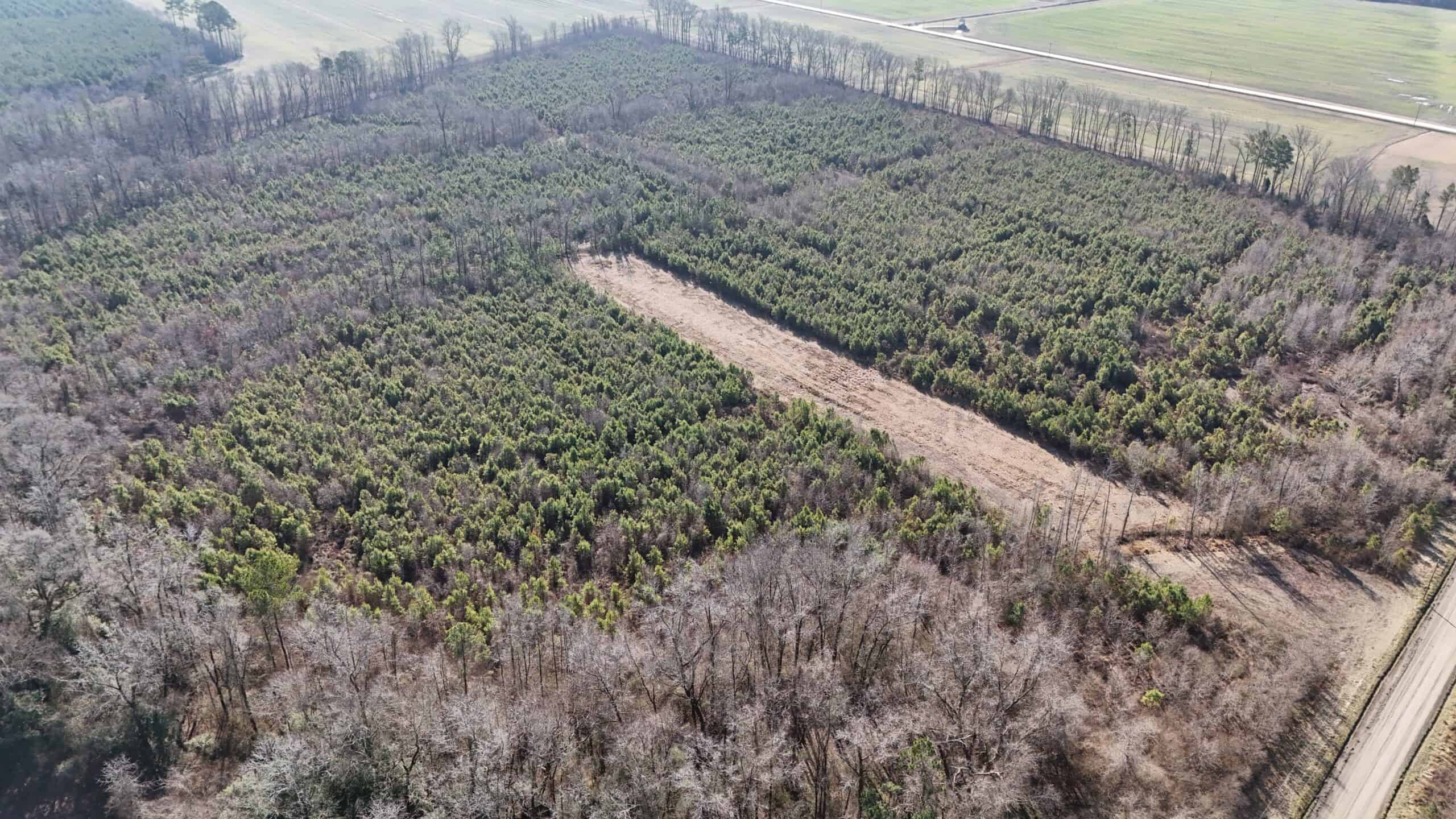 62-Acre Hunting & Investment Property – A Sportsman’s Dream!