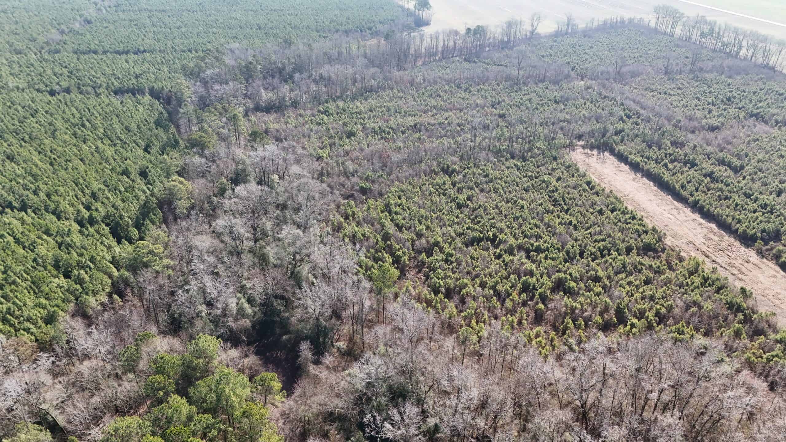 62-Acre Hunting & Investment Property – A Sportsman’s Dream!