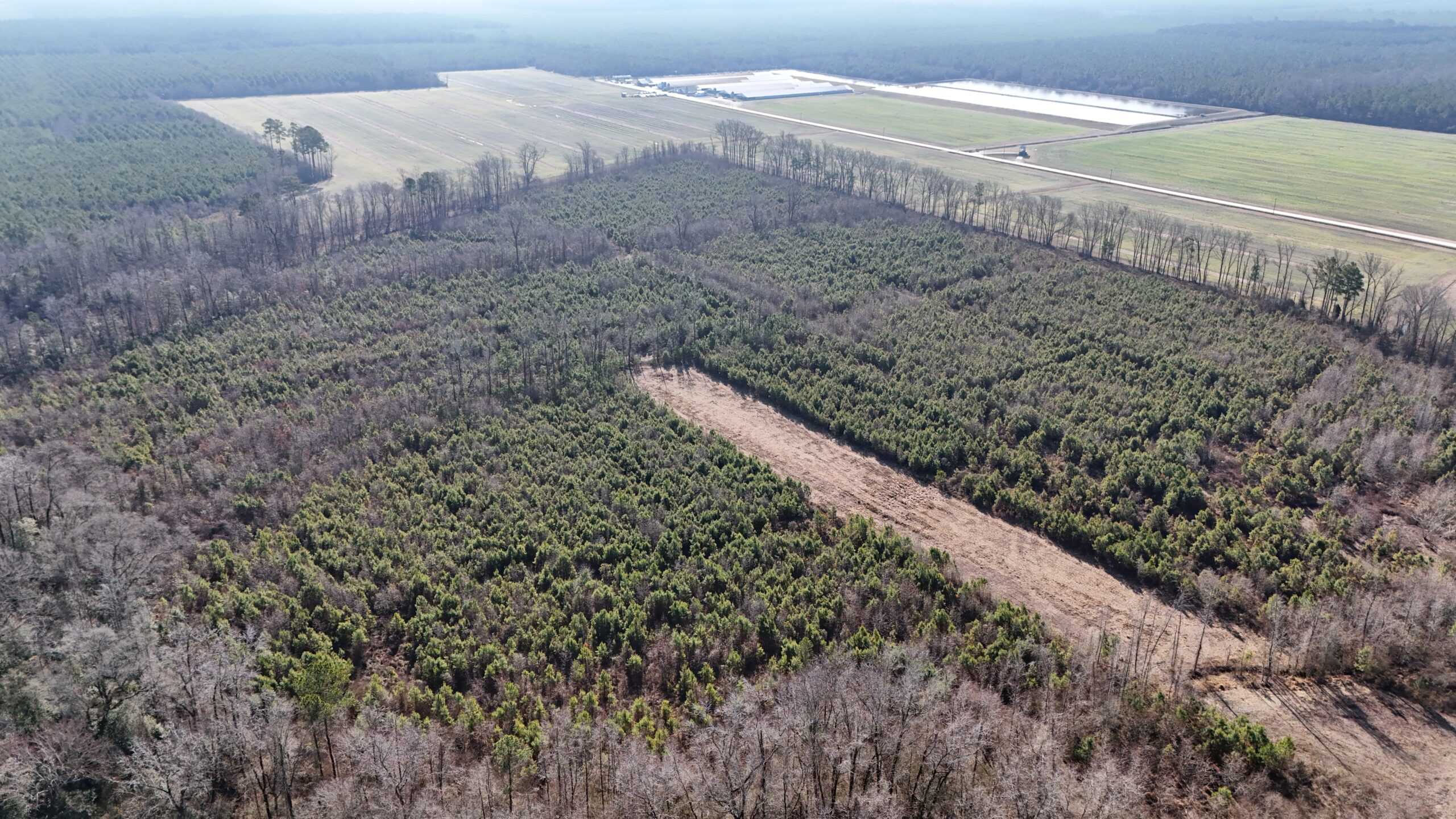 62-Acre Hunting & Investment Property – A Sportsman’s Dream!