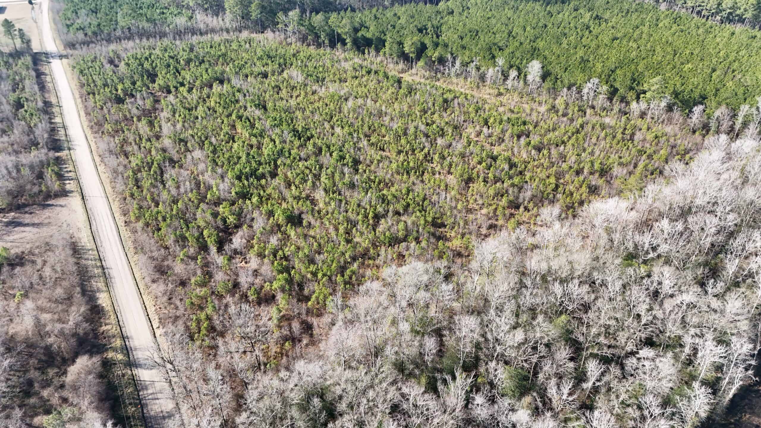 62-Acre Hunting & Investment Property – A Sportsman’s Dream!