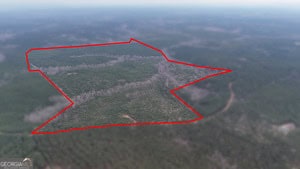 1786 Andrews Road Warrenton, GA 30828