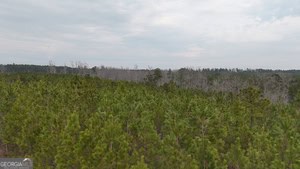 1786 Andrews Road Warrenton, GA 30828