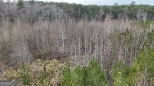 1786 Andrews Road Warrenton, GA 30828