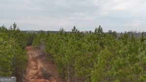 1786 Andrews Road Warrenton, GA 30828