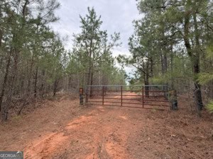 1786 Andrews Road Warrenton, GA 30828