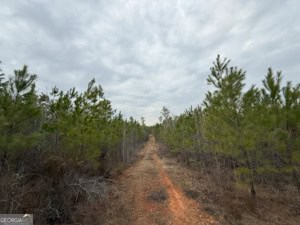 1786 Andrews Road Warrenton, GA 30828