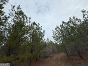 1786 Andrews Road Warrenton, GA 30828