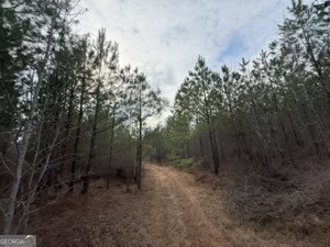 1786 Andrews Road Warrenton, GA 30828