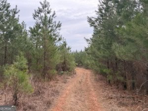 1786 Andrews Road Warrenton, GA 30828