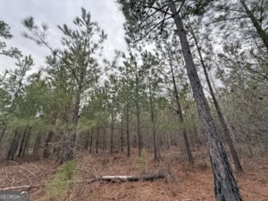 1786 Andrews Road Warrenton, GA 30828