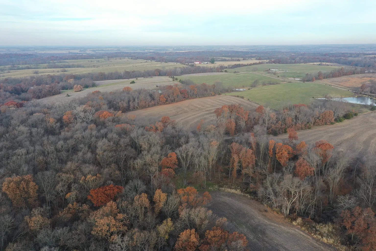 Farm Ground with 69 acres m/l